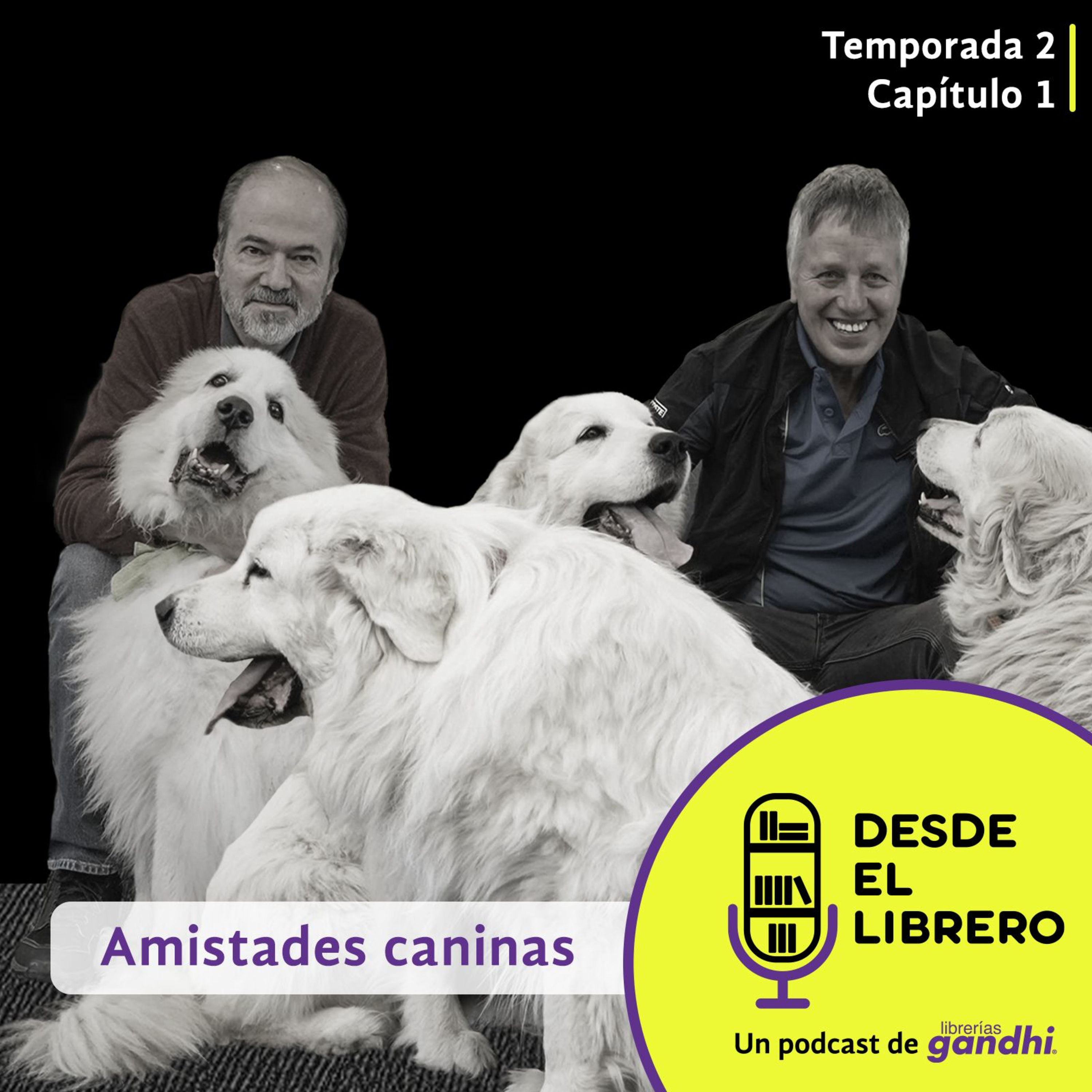 Segunda temporada, Capítulo 1: Amistades caninas