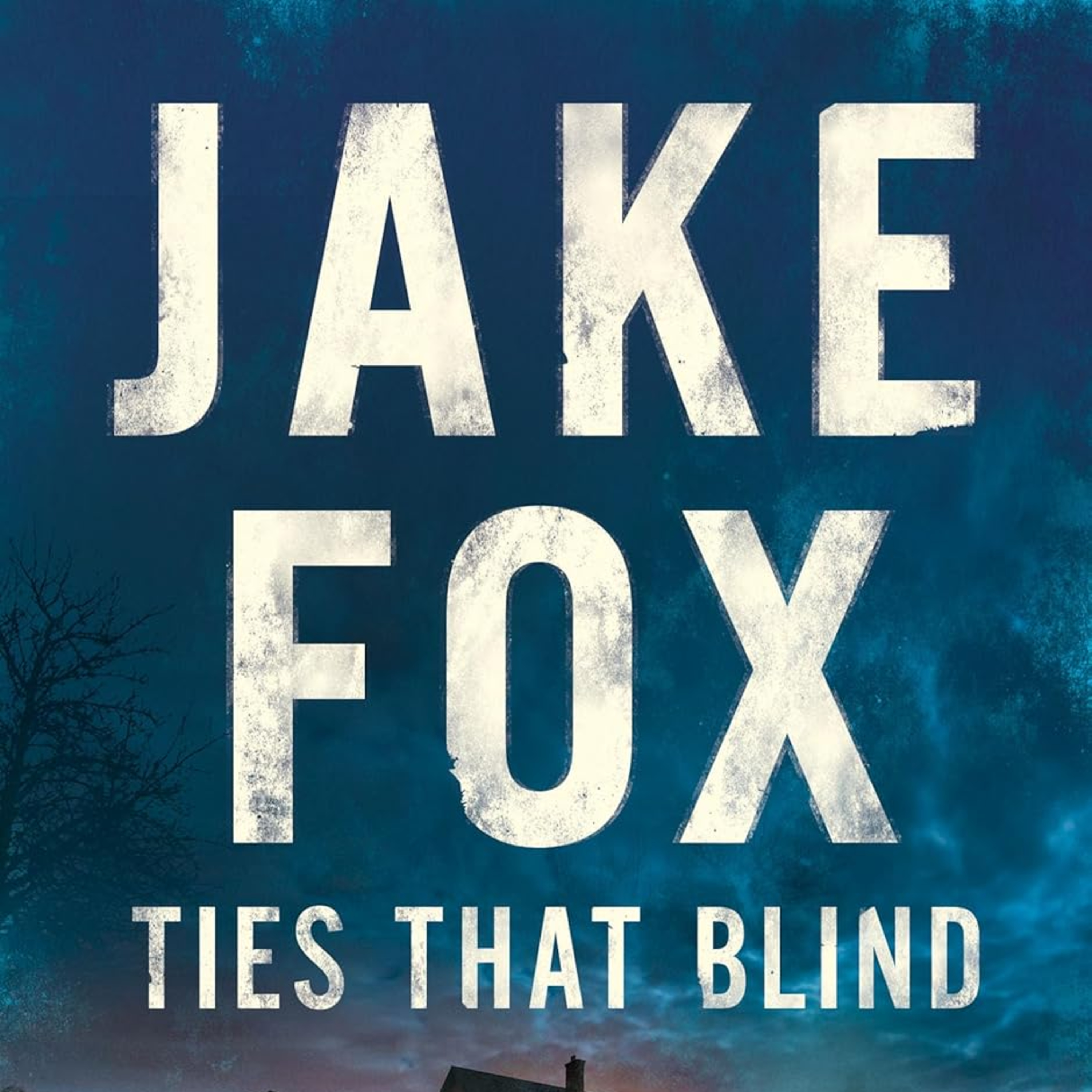 Jake Fox: Ties That Blind: A Legal Thriller - Book Review episode artwork