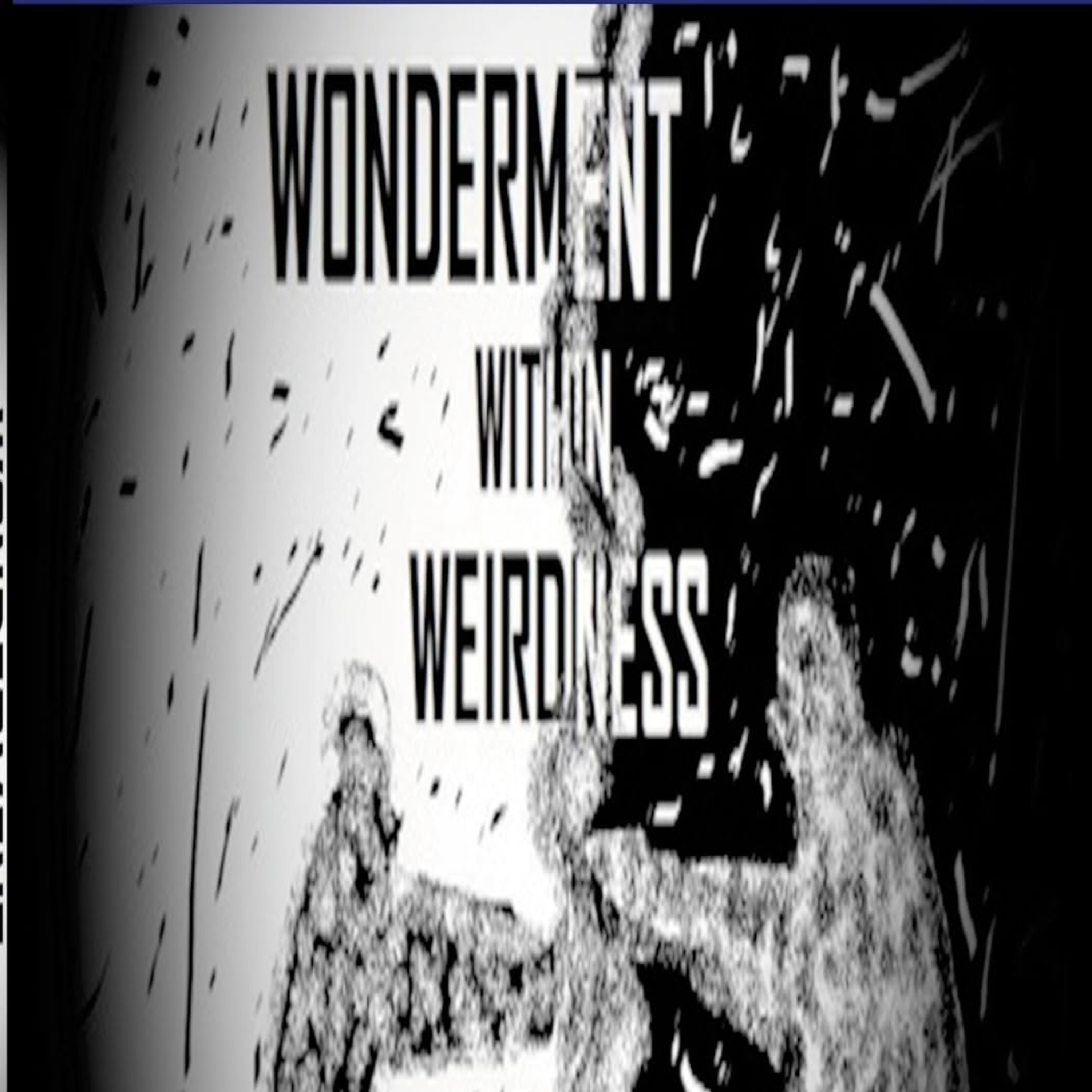 Wonderment Within Weirdness