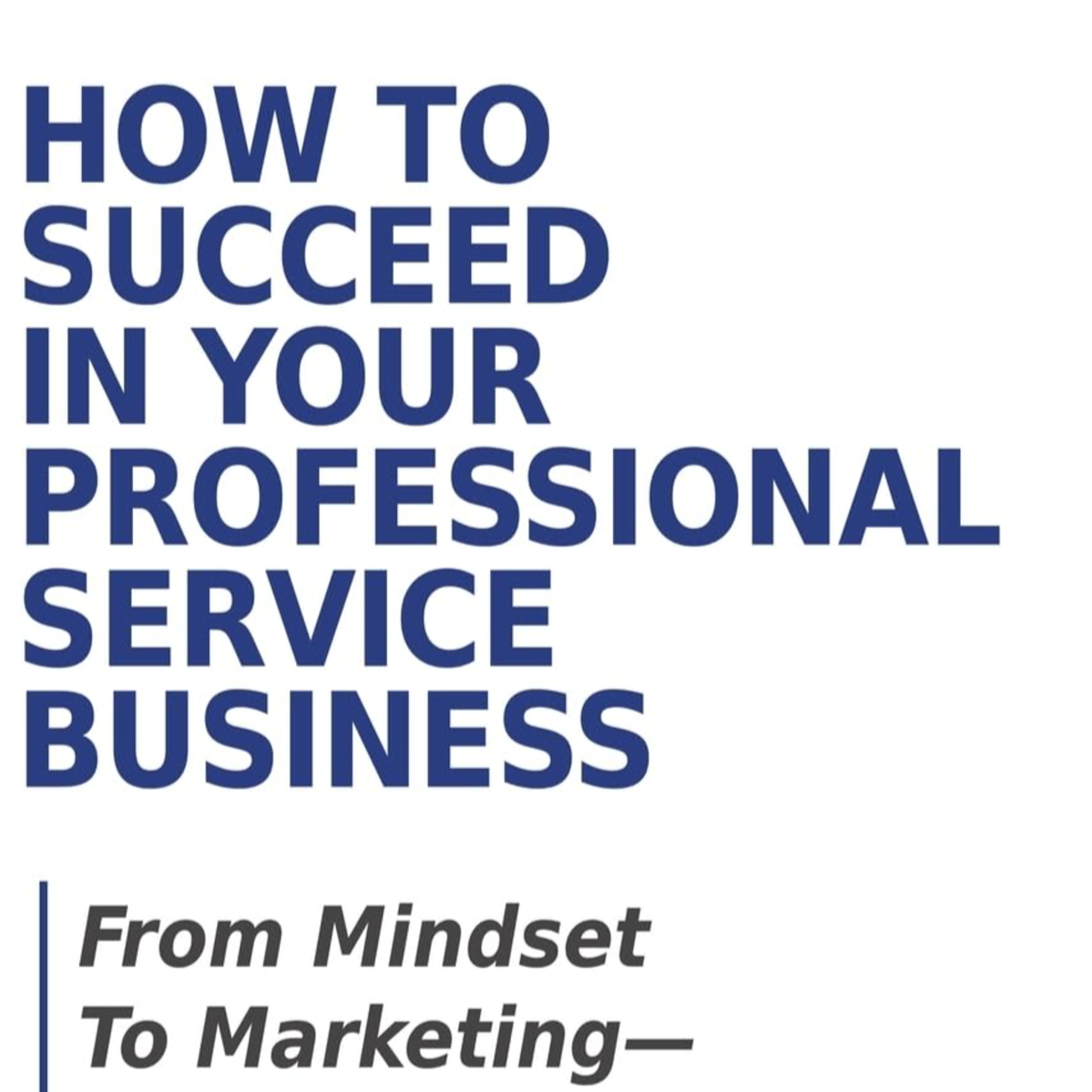 How To Succeed In Your Professional Service Business: From Mindset To Marketing-Attitudes & Actions episode artwork