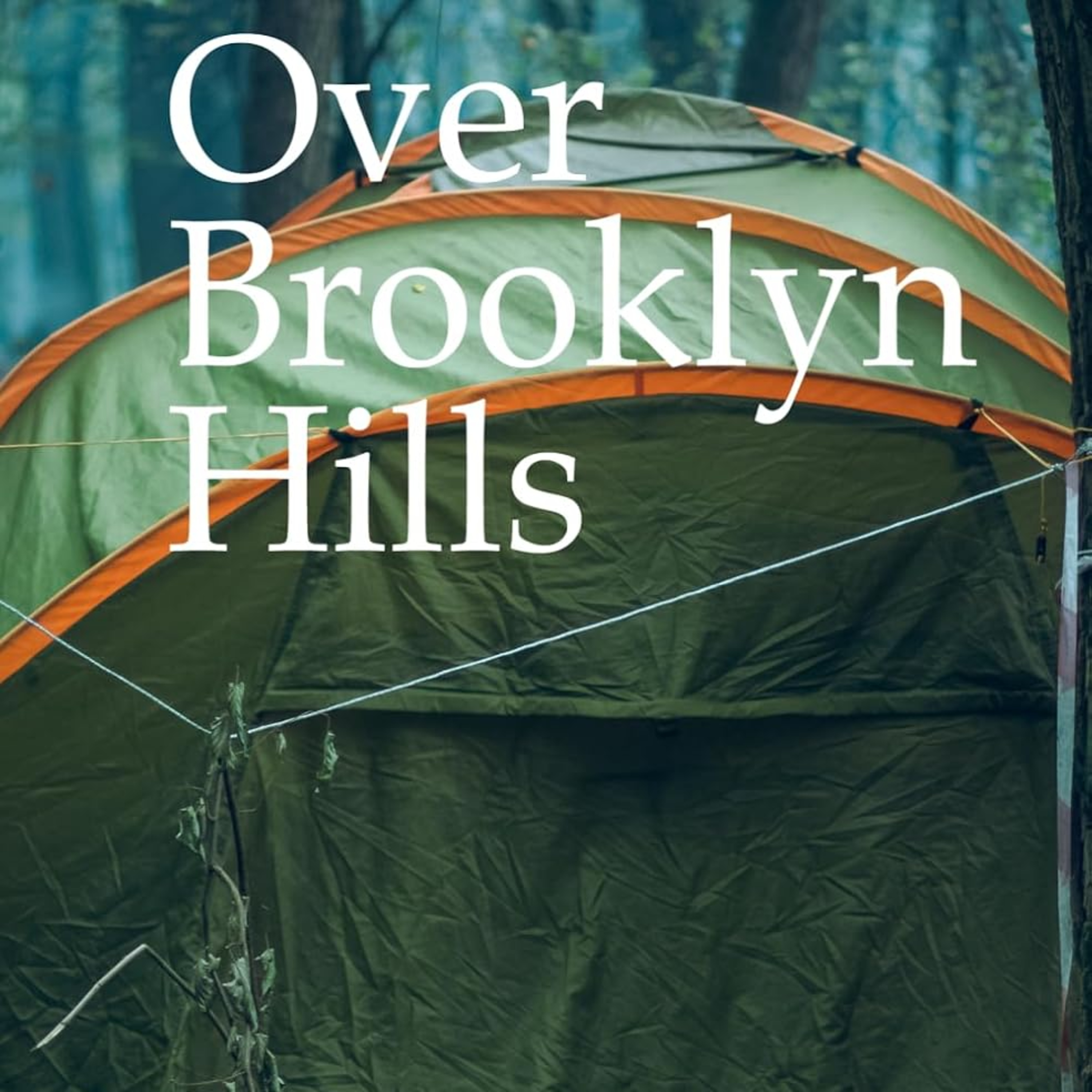 Over Brooklyn Hills: Book Three, The Steep Climes Quartet episode artwork