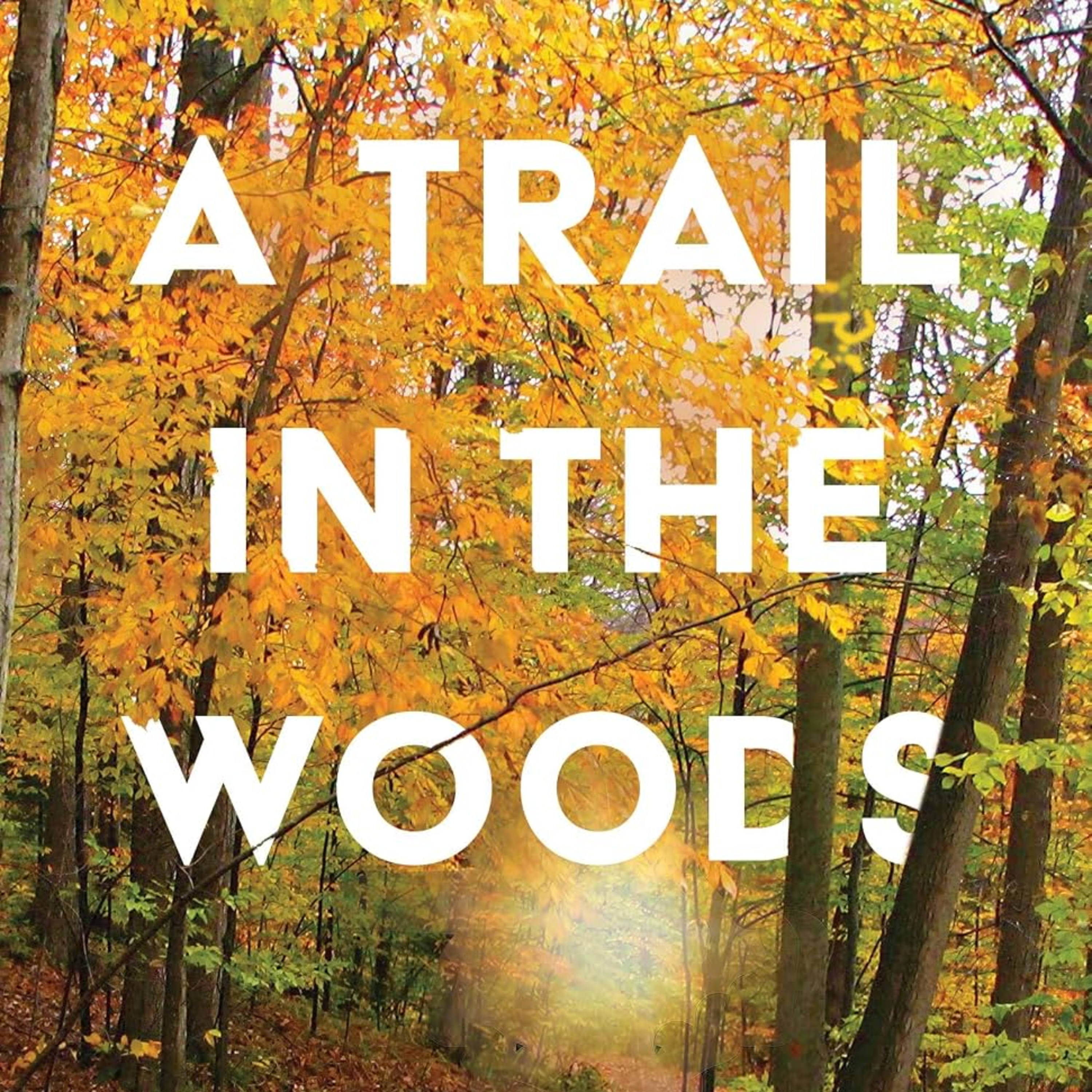 A Trail in the Woods episode artwork