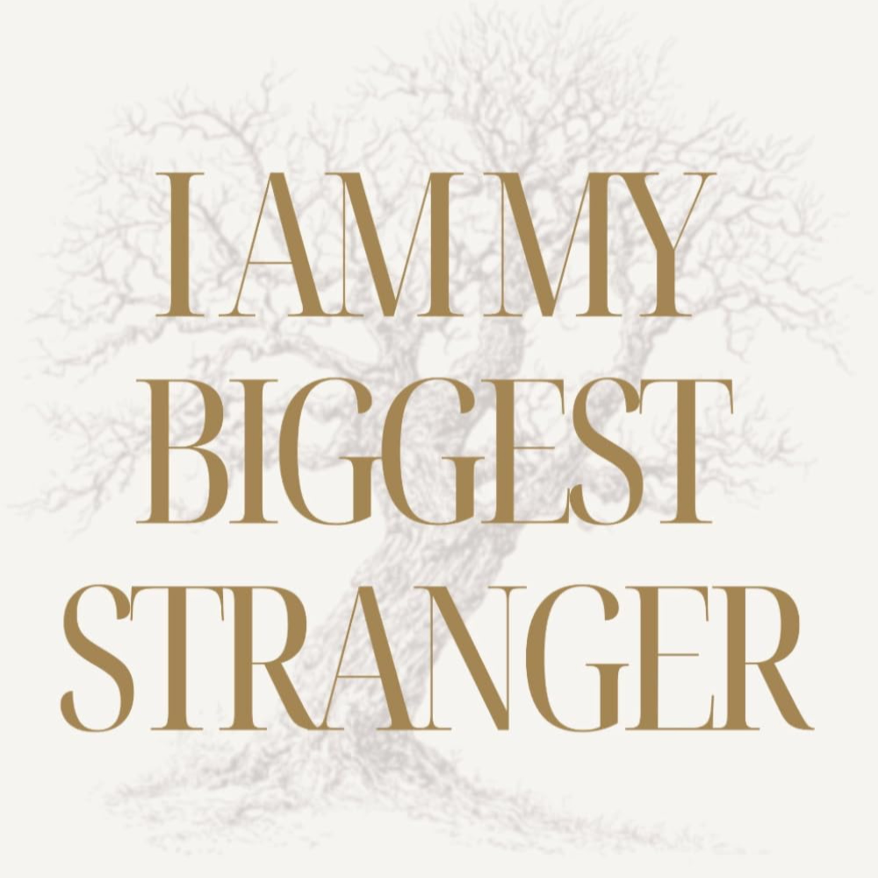 I Am My Biggest Stranger episode artwork