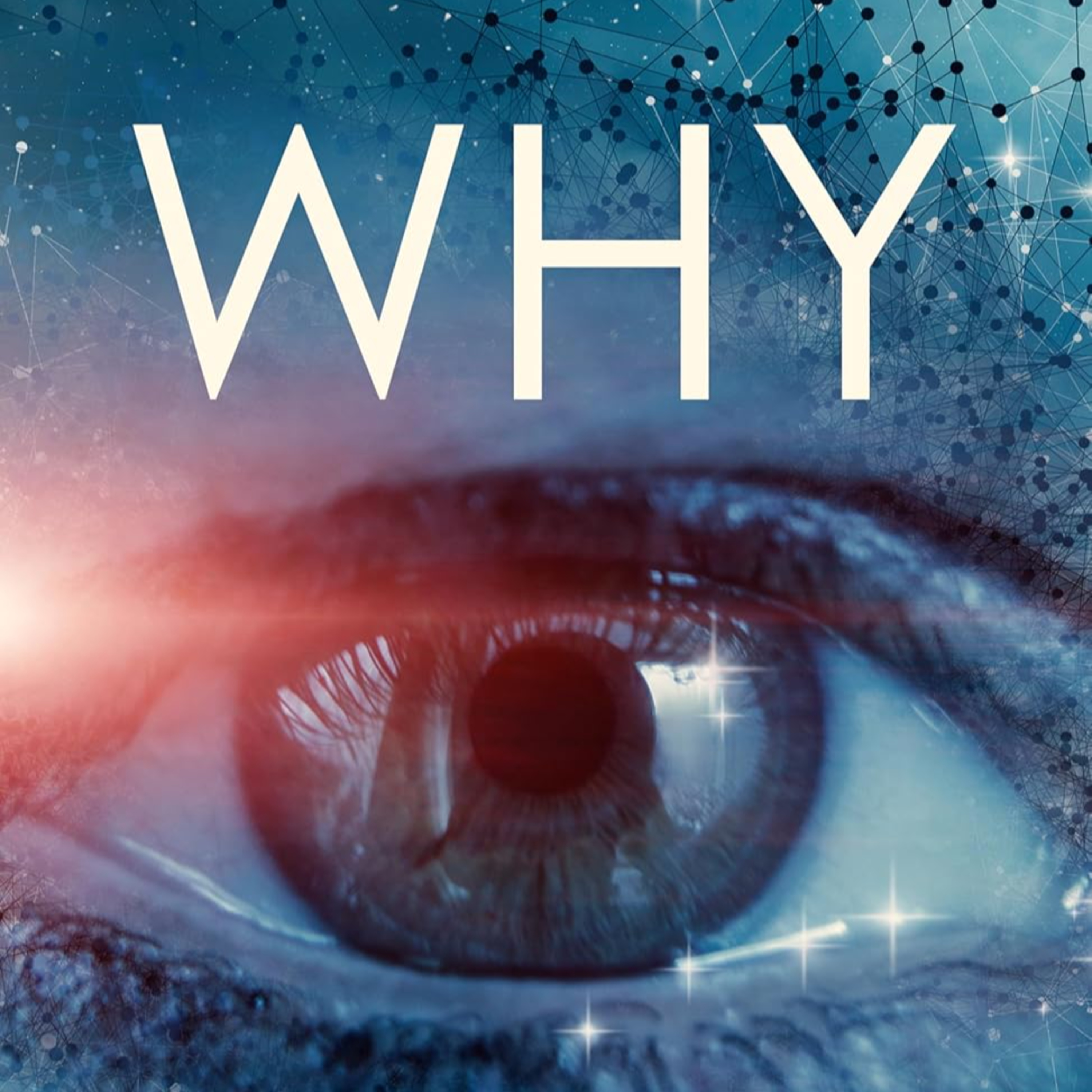 WHY: Explanation, guide and reference to basic human motivations episode artwork