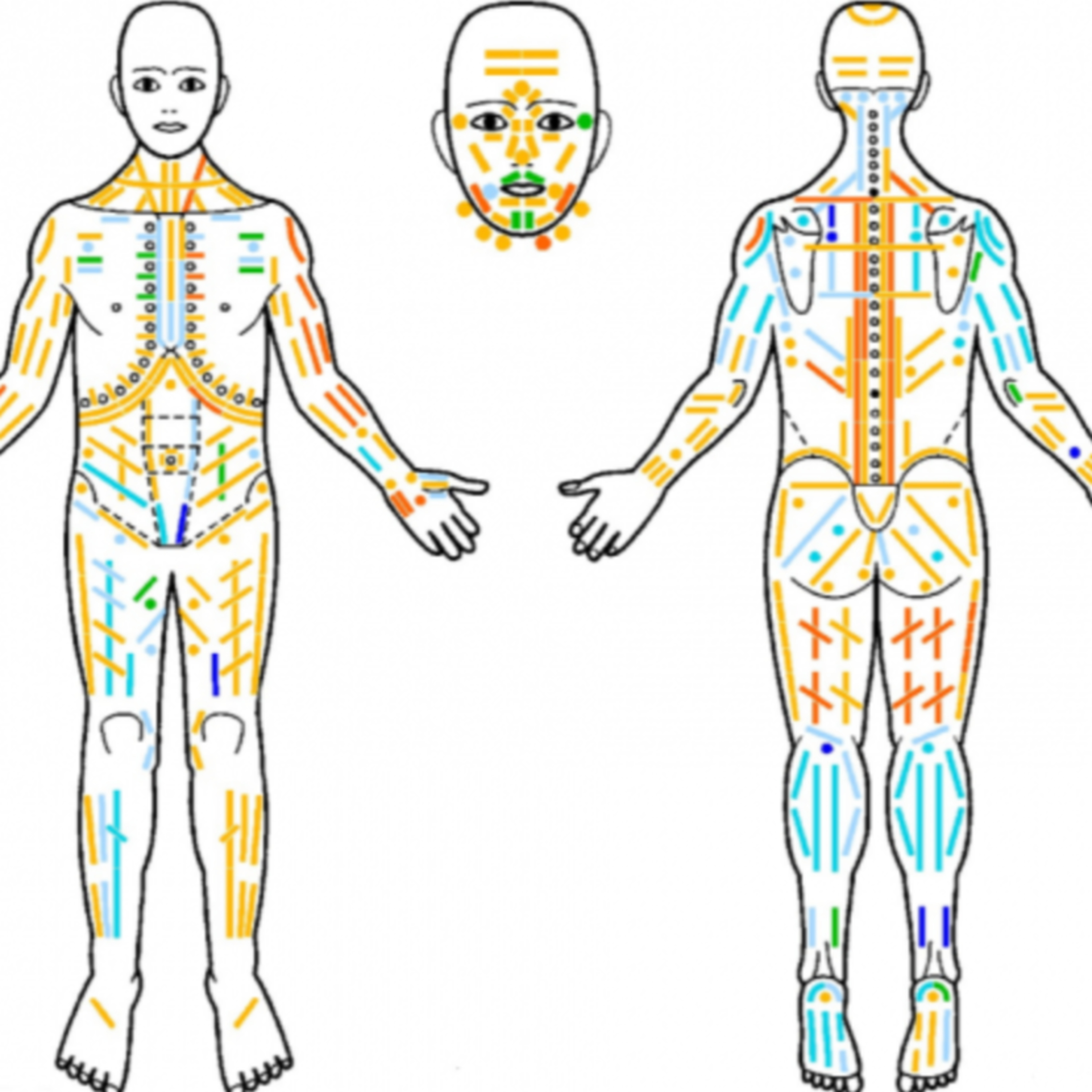 #036: Diving Deep Into the Body episode artwork
