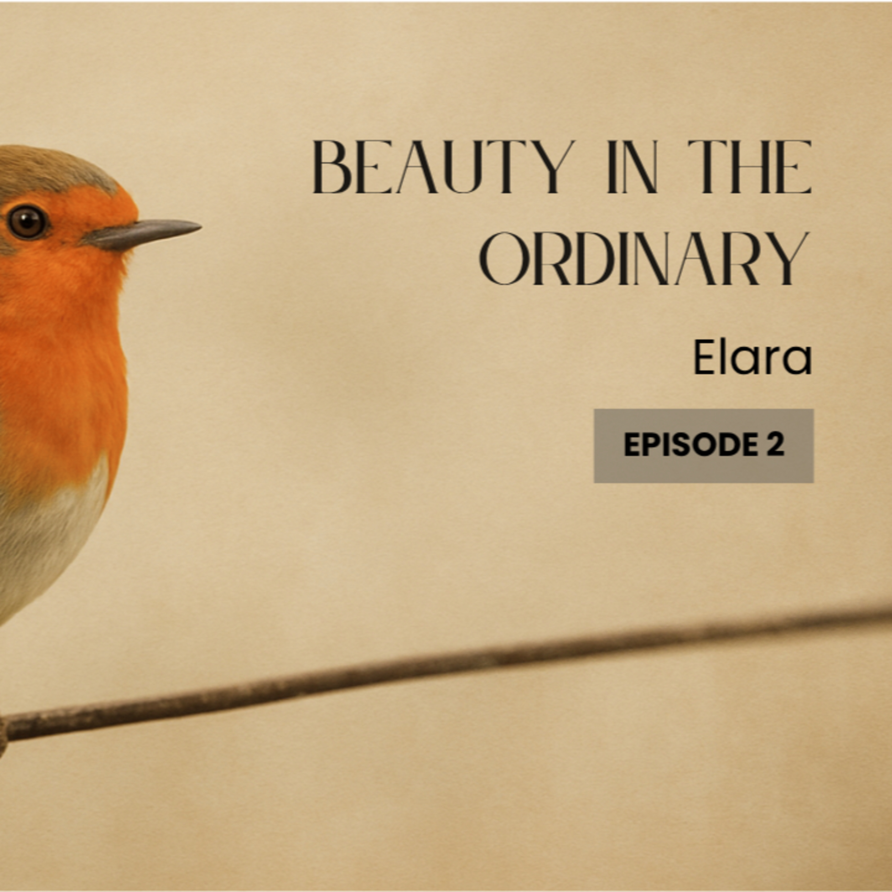 Beauty in the Ordinary episode artwork