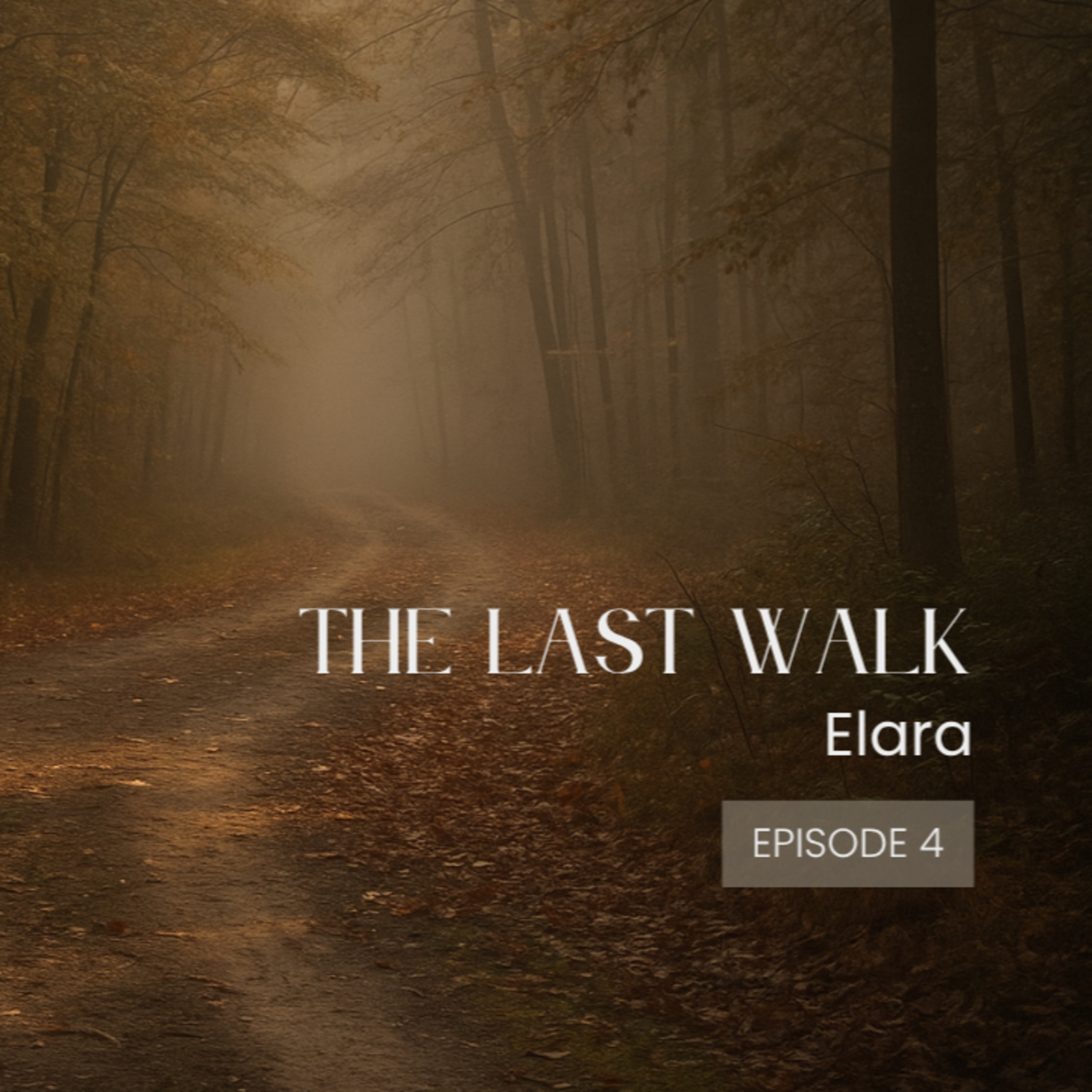 The Last Walk episode artwork