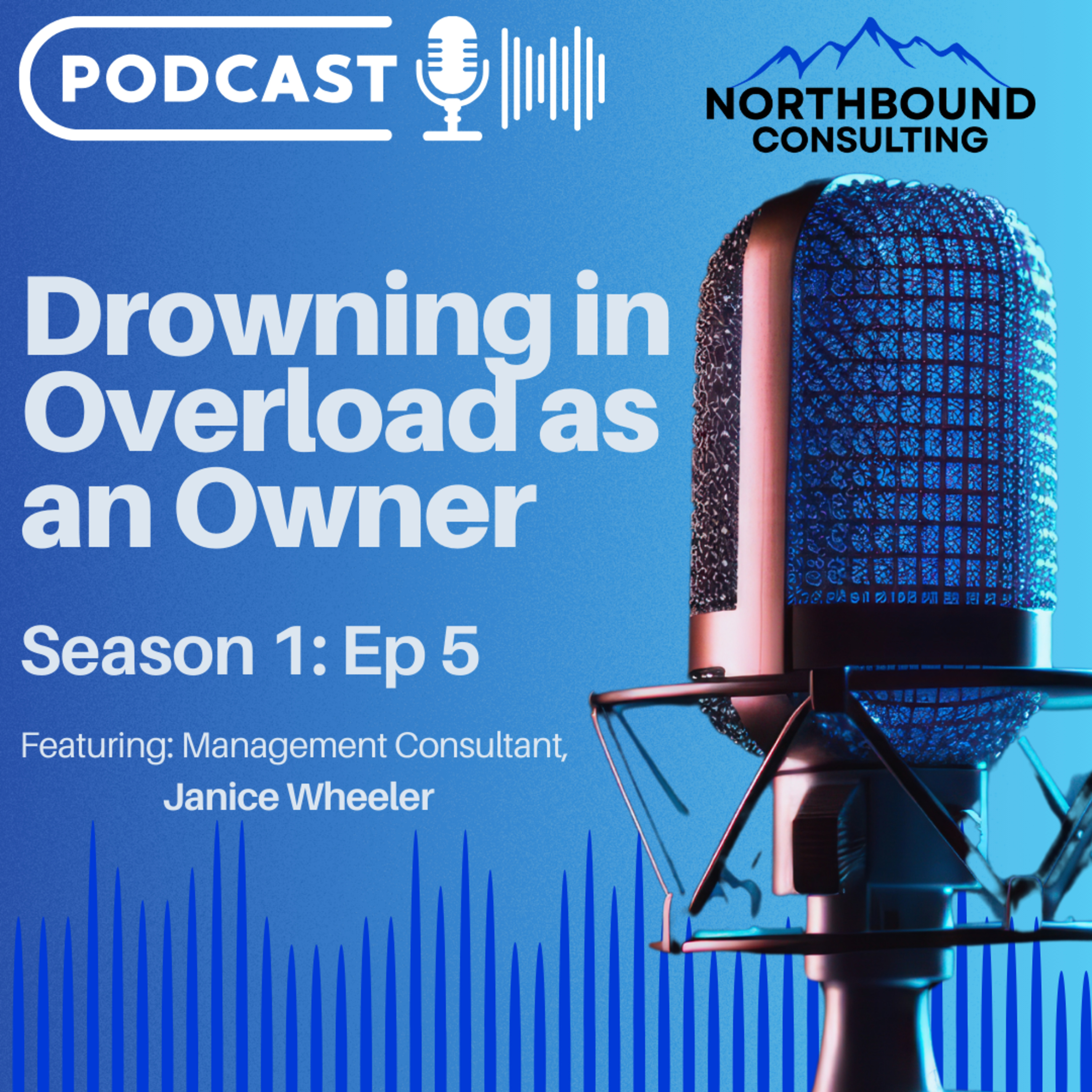 S1 Ep5 - Drowning in Overload as an Owner episode artwork