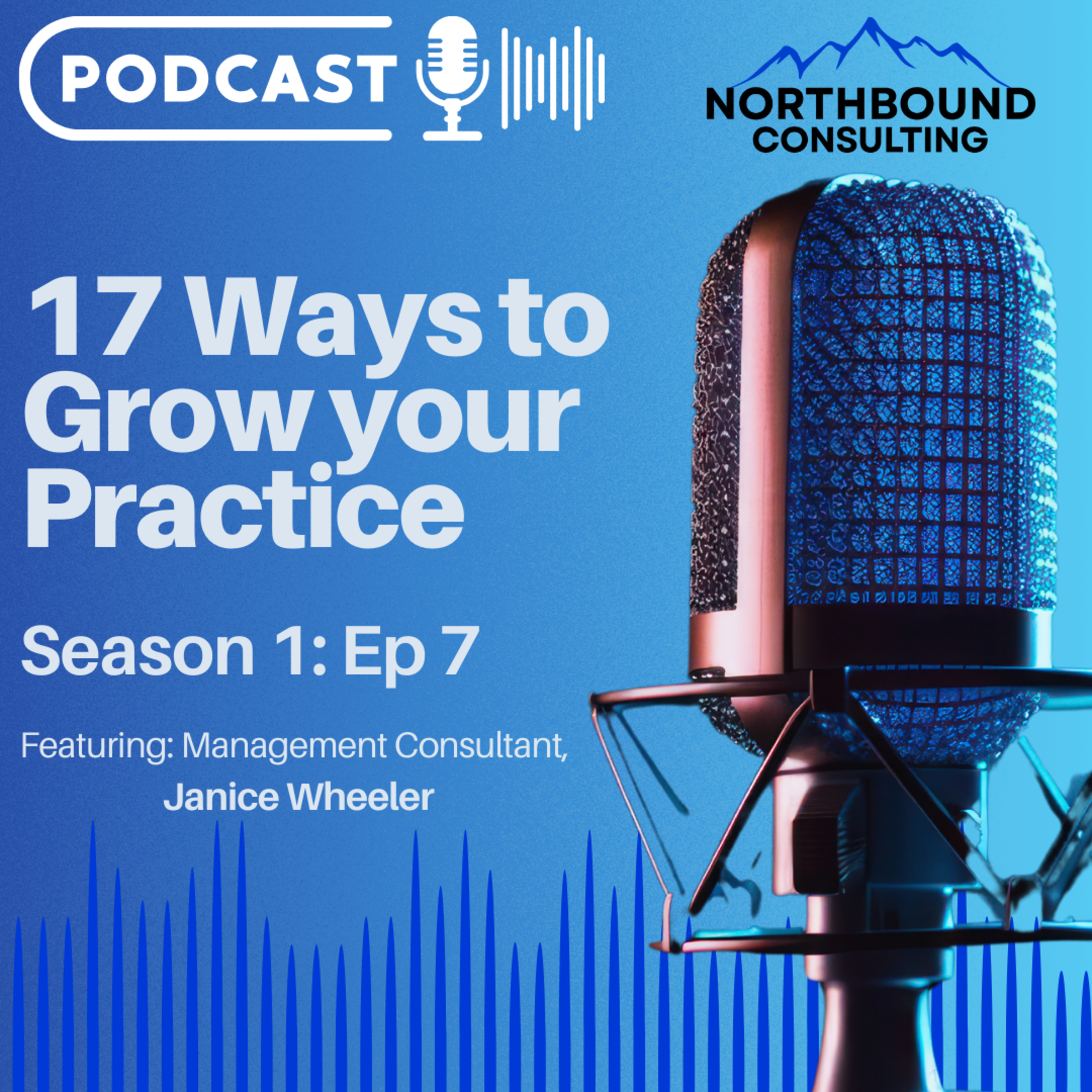 S1 Ep7 - 17 Ways to Grow your Practice episode artwork