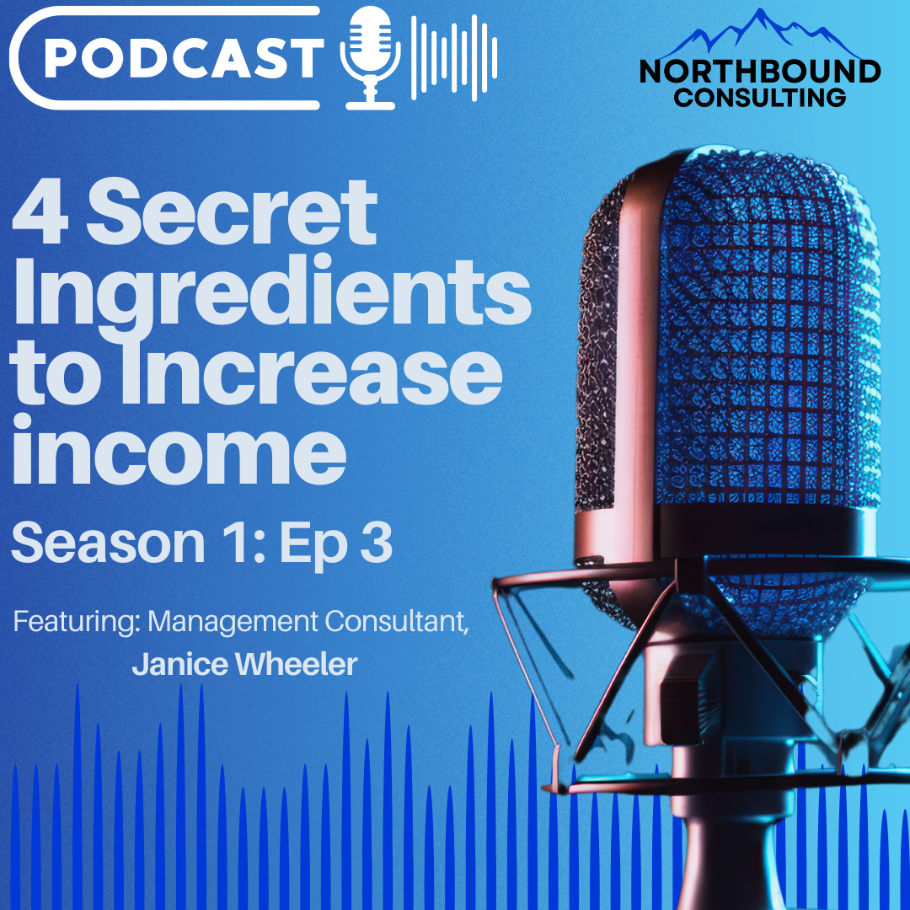 S1 Ep3 - 4 Secret Ingredients to Increase your Income episode artwork