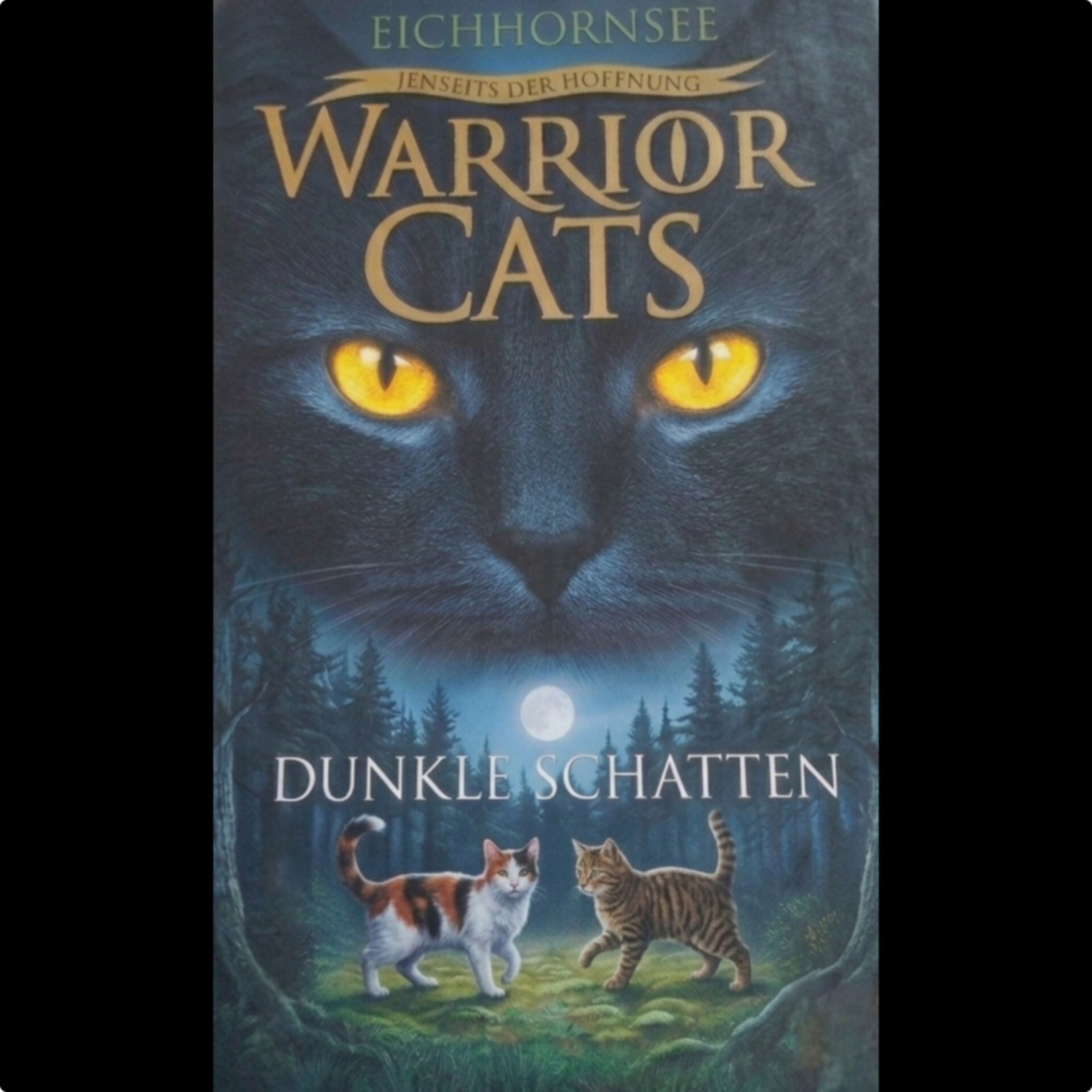 ( 146 ) Dunkle Schatten-Kapitel 6 episode artwork