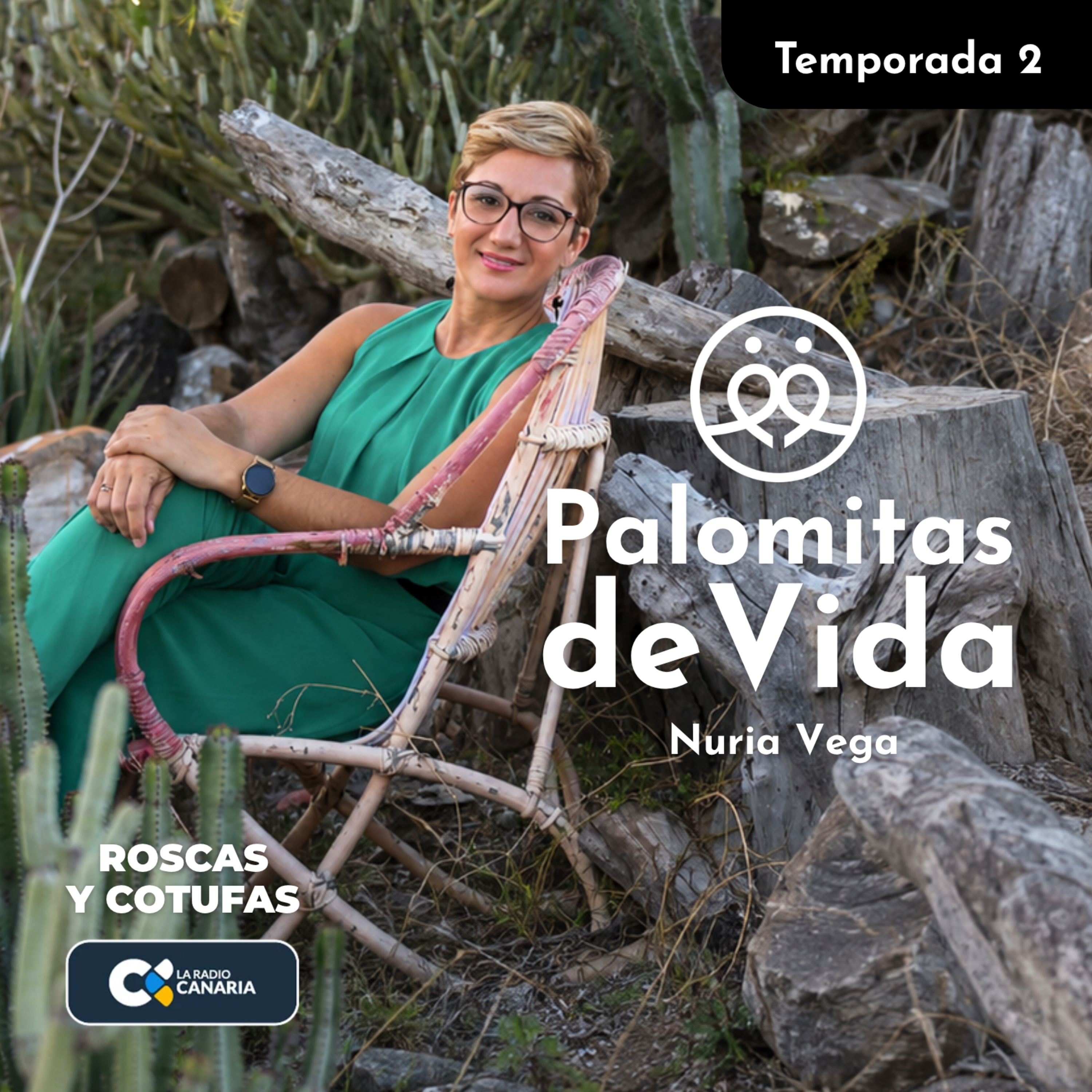 Portada de Palomitas de Vida (Roscas y Cotufas)