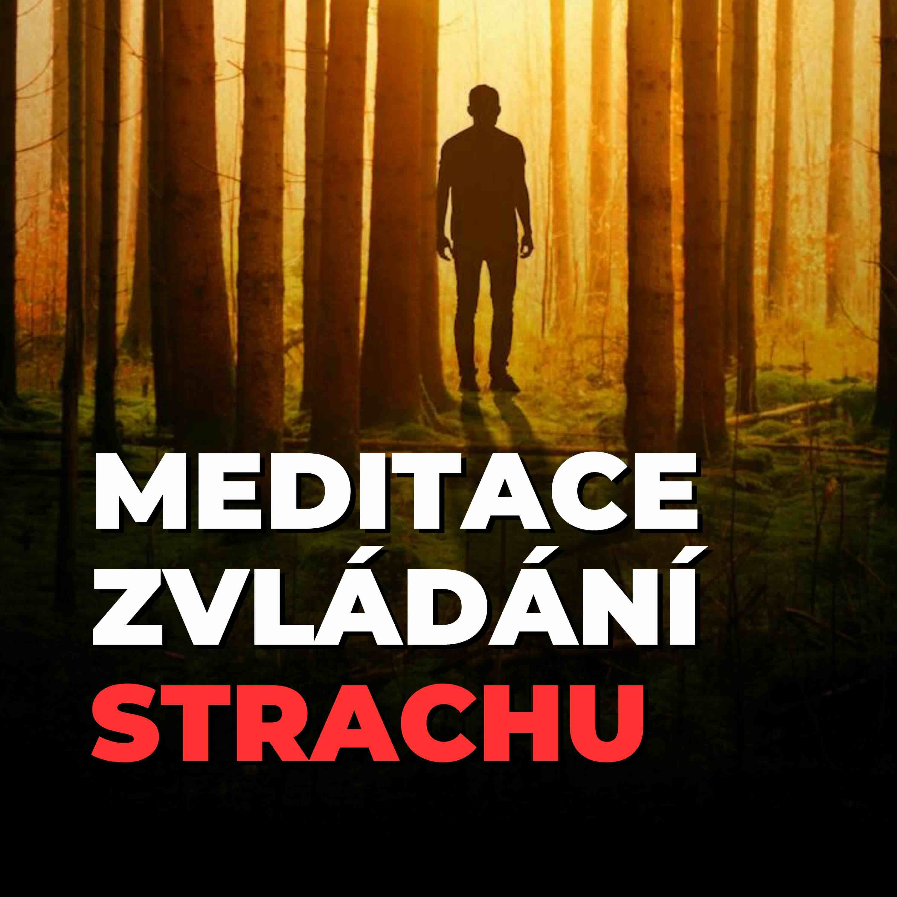 6 (bonus #1): Meditace pro zvládání strachu, úzkosti a nejistoty | Mindfulness a vizualizace vnitřního bezpečí | 18 min episode artwork