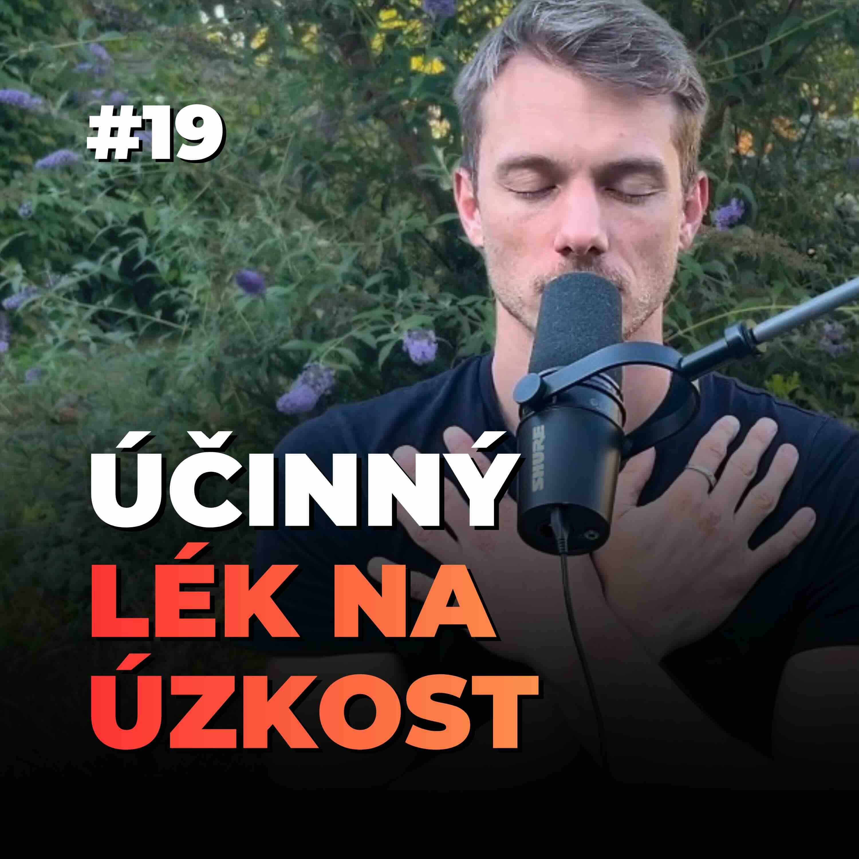 19: Jak vyléčit vnitřní dítě: Cesta z úzkosti k radosti episode artwork