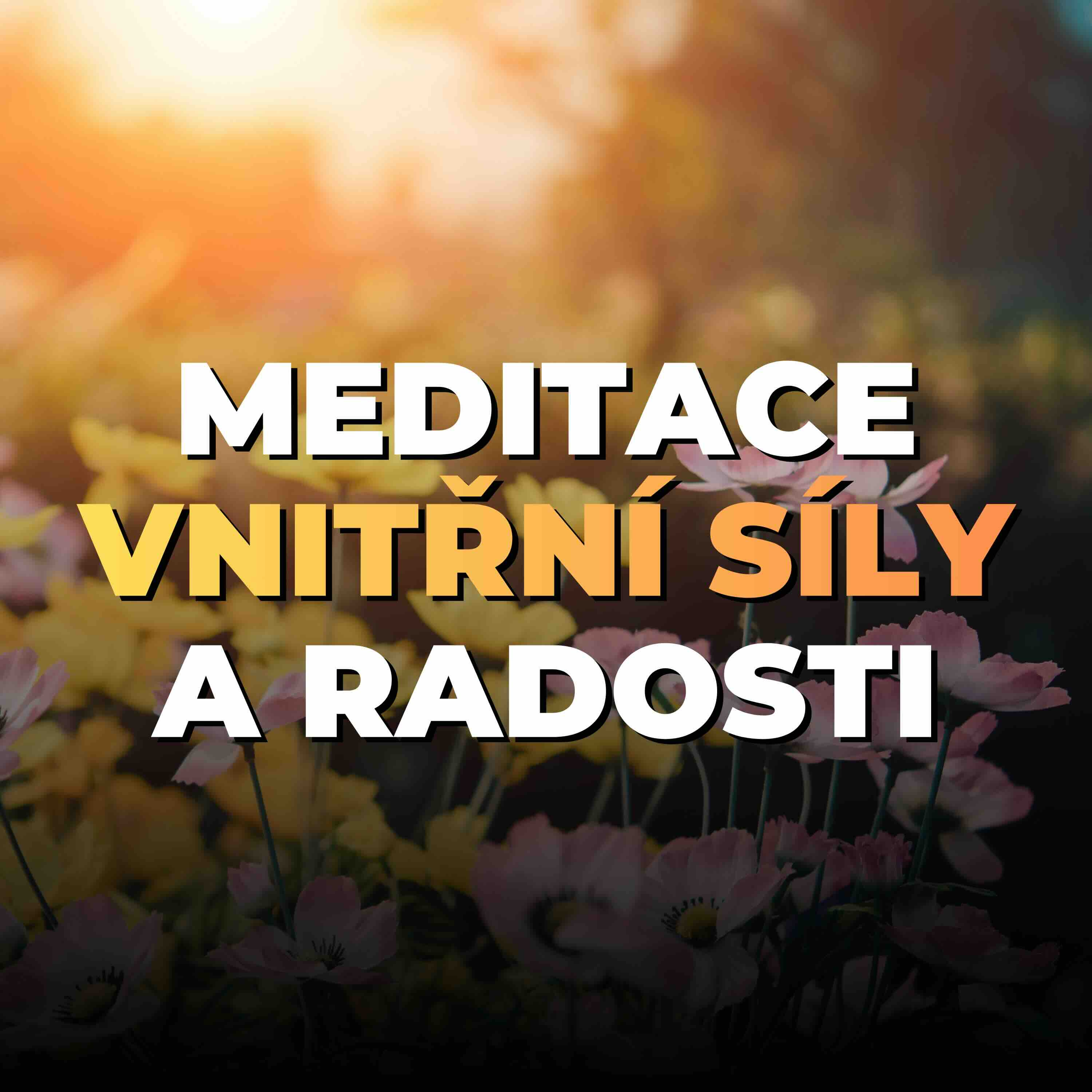 20 (bonus): Meditace vnitřní síly: Jak najít odvahu ke změně | 27 min episode artwork