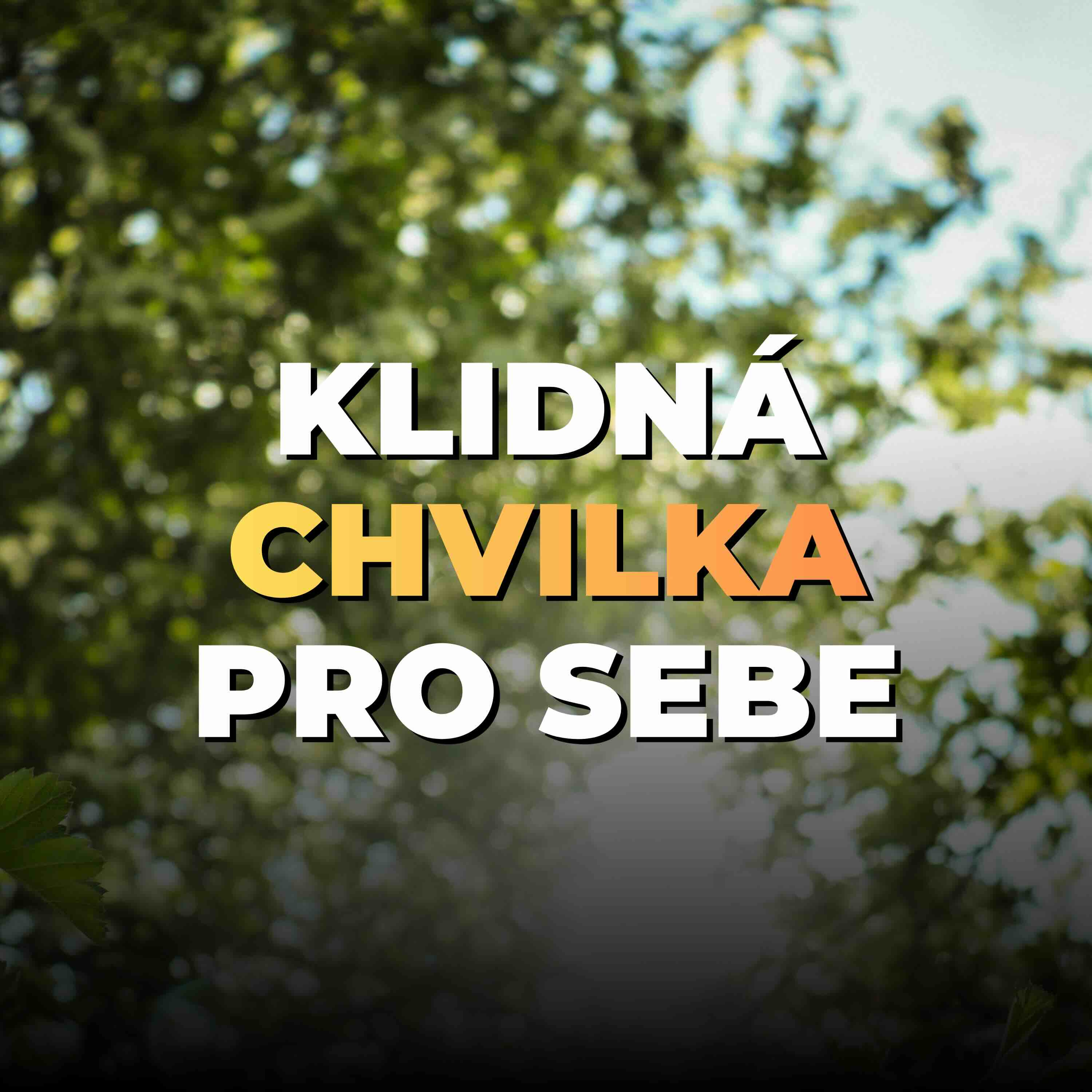 22 (bonus 1): Meditace mindfulness pro úlevu od stresu | Chvilka pro sebe episode artwork