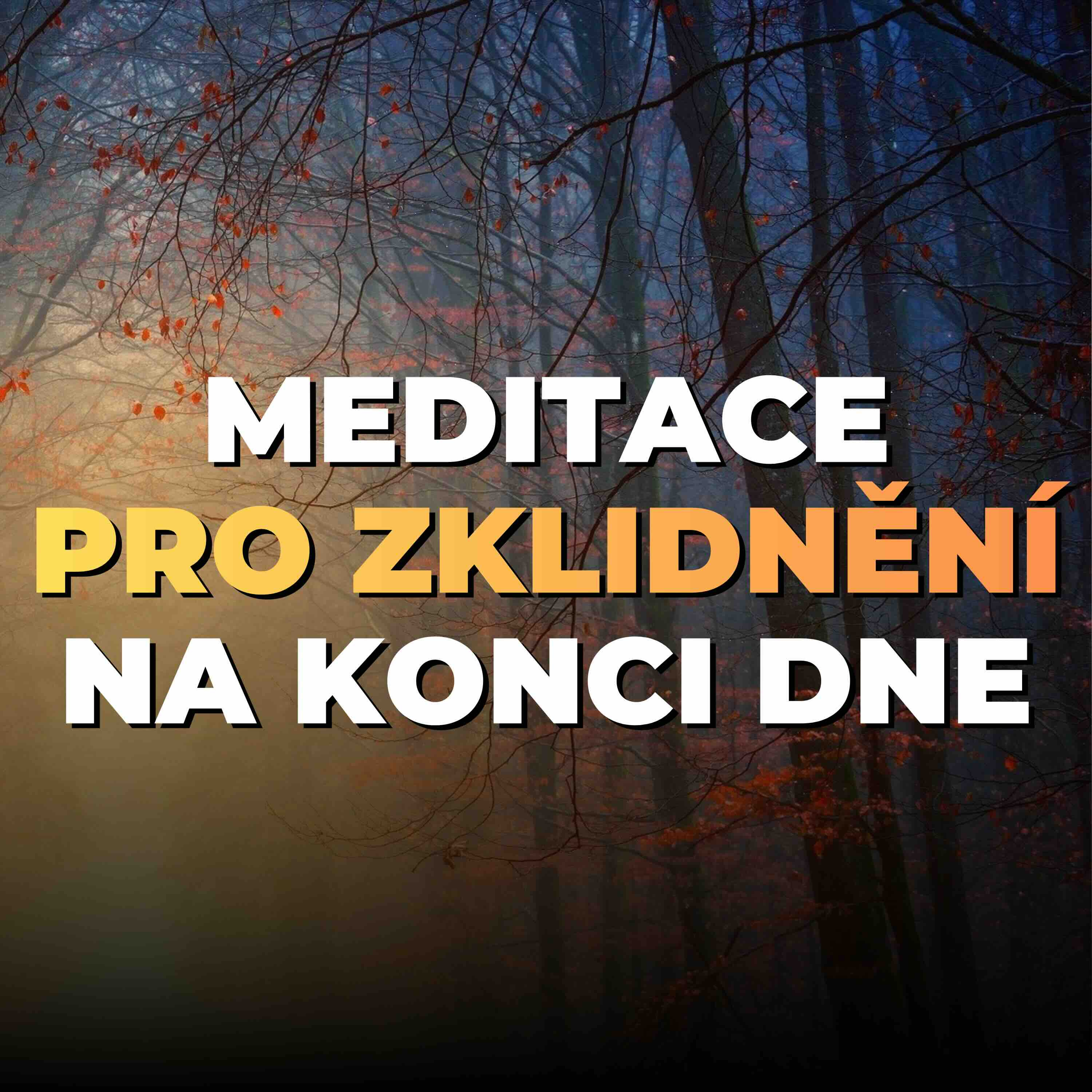 23 (bonus 1): Emoční úklid na konci dne: Vedená meditace rekapitulace episode artwork