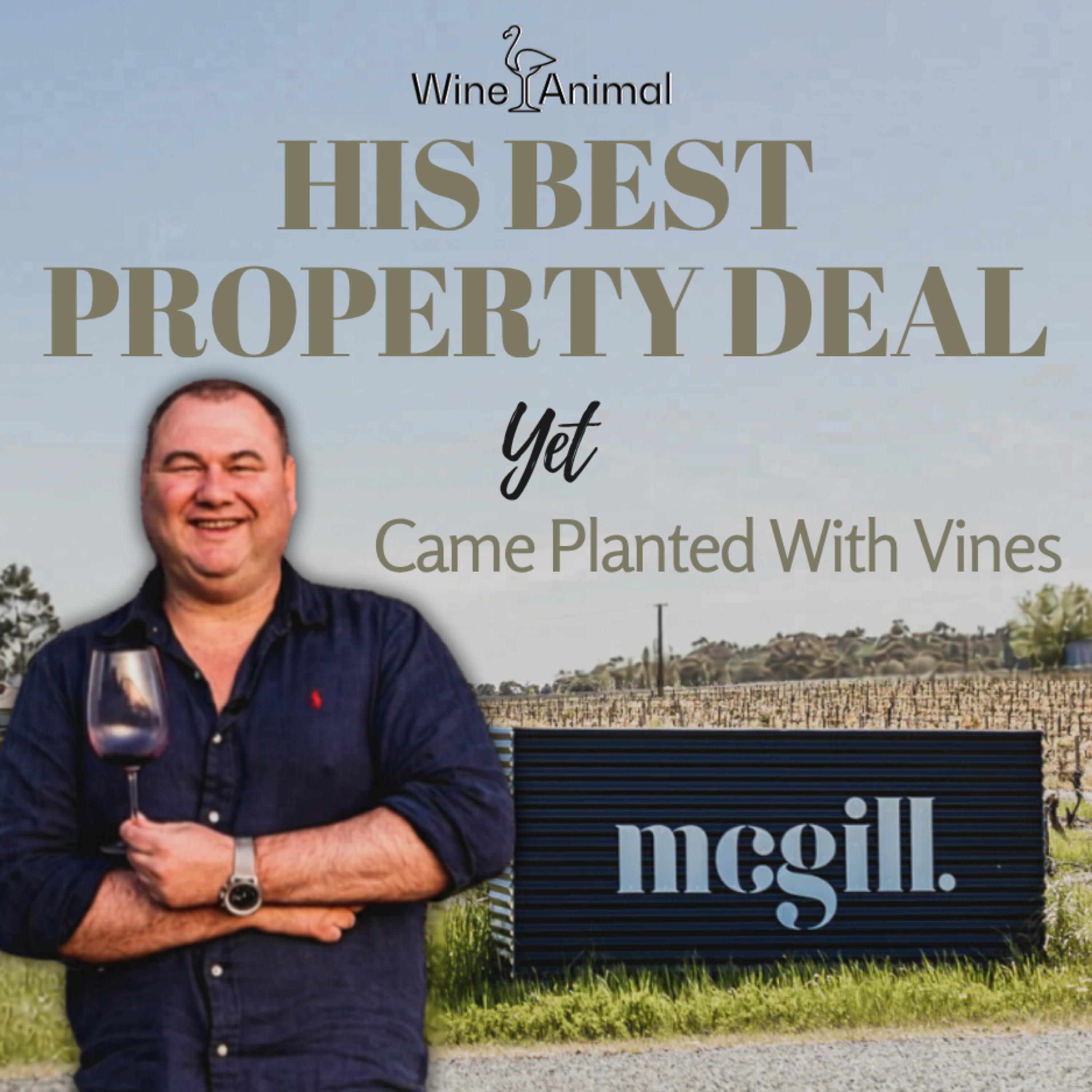 35. Why These One-Litre Wines Are Genius? episode artwork