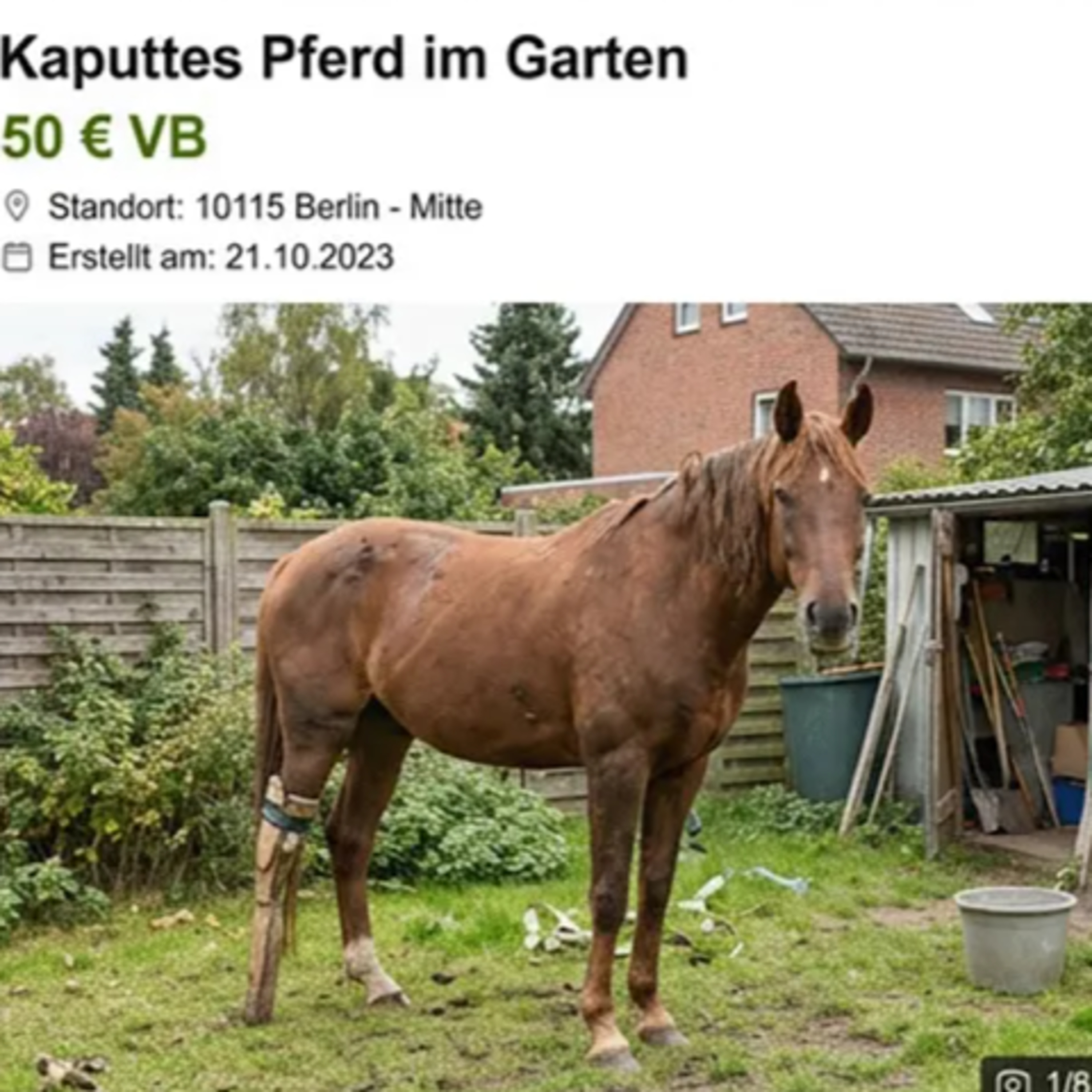 Folge 16: Kaputtes Pferd im Garten episode artwork