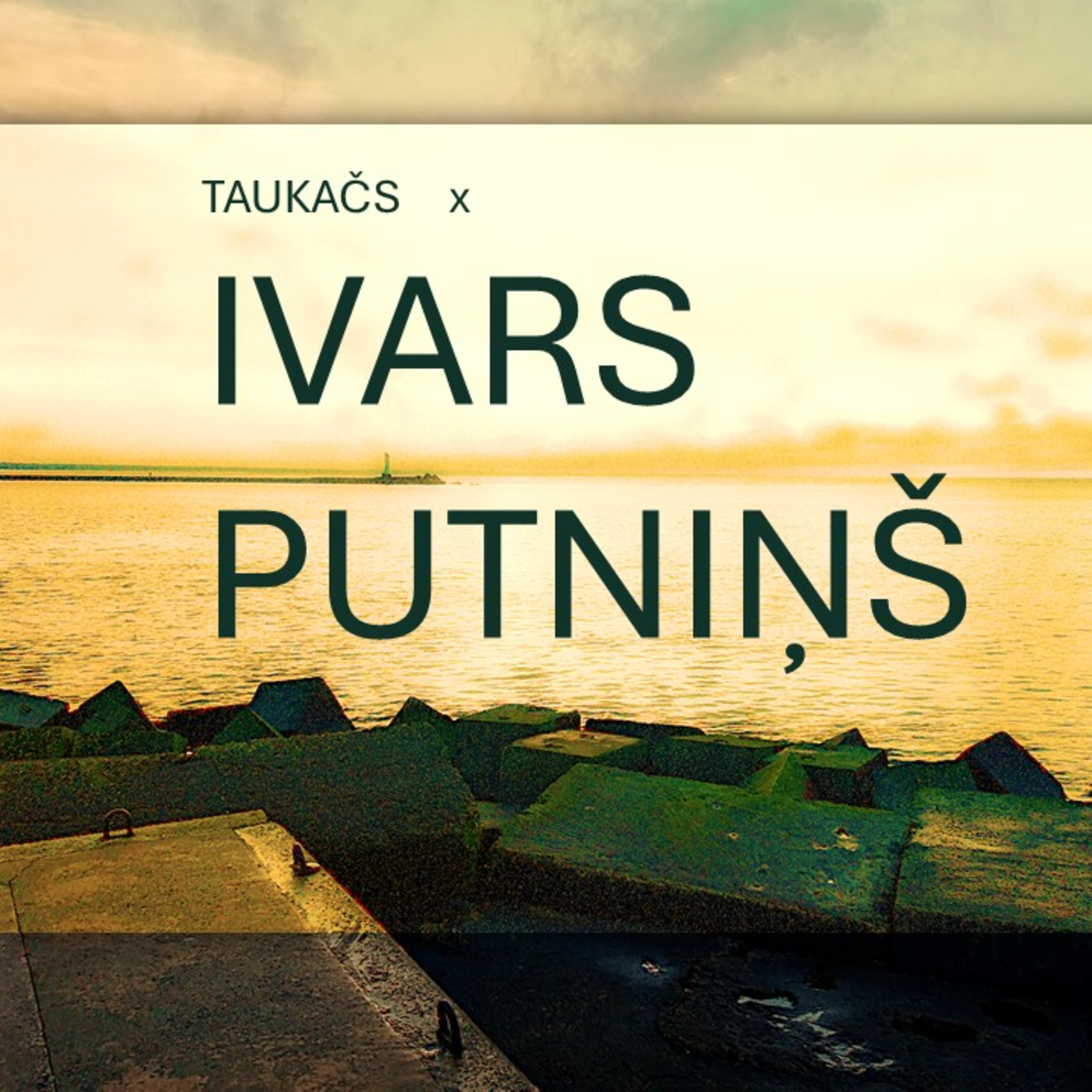 Ep.41 Ivars Putniņš par VID kā āzi par dārzniekuv