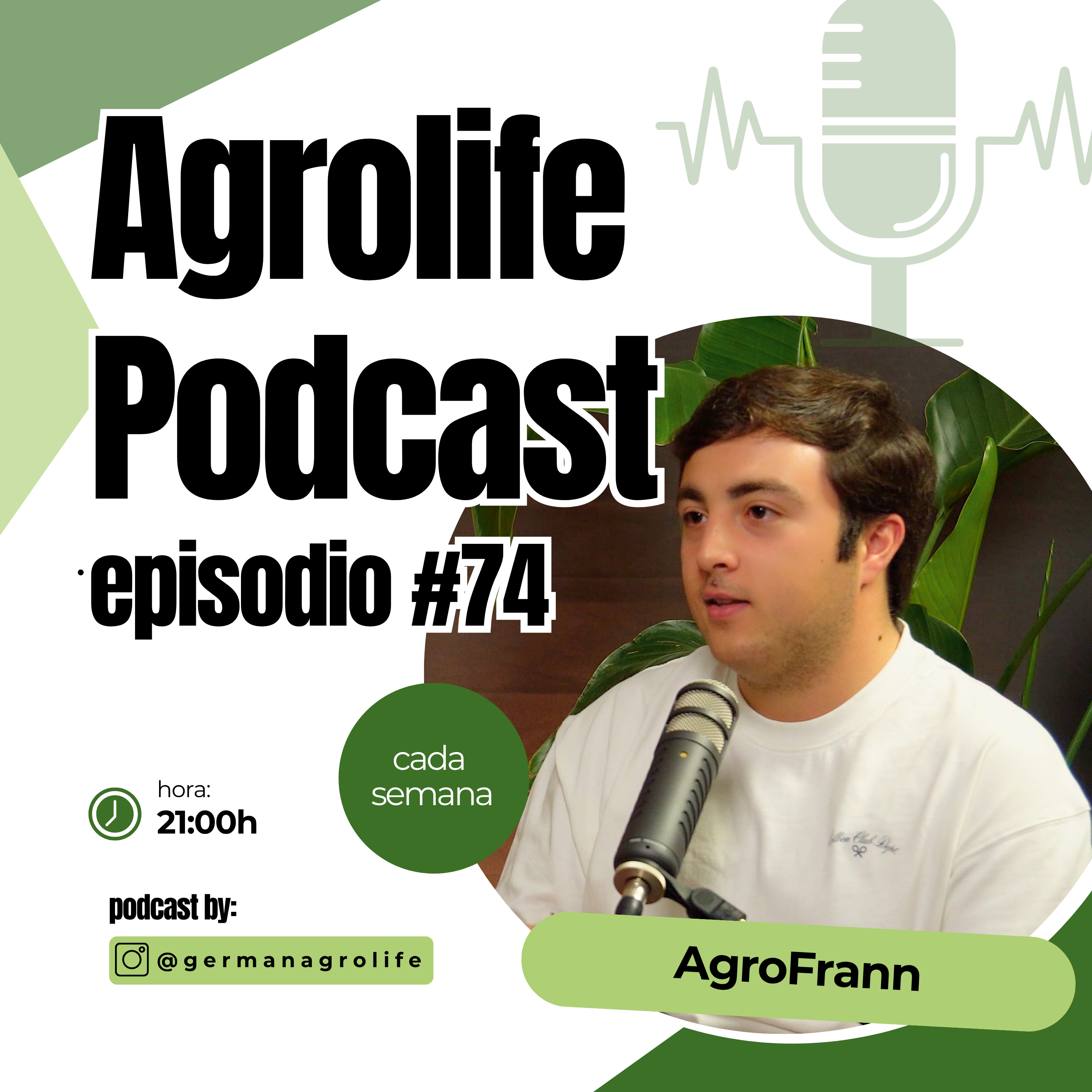 Están ARRANCANDO OLIVOS para poner PLACAS SOLARES | La verdad del AOVE con Agrofrann | Agrolife Podcast EP. 74