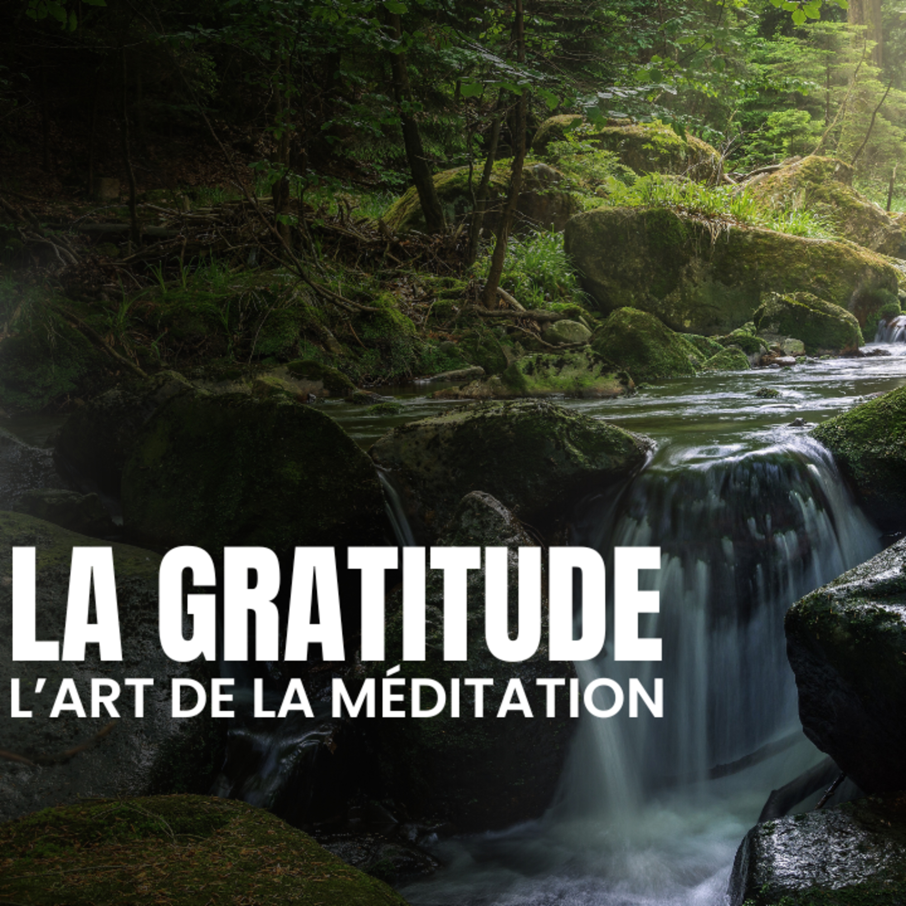 L’art de la méditation - épisode 4 - La gratitude