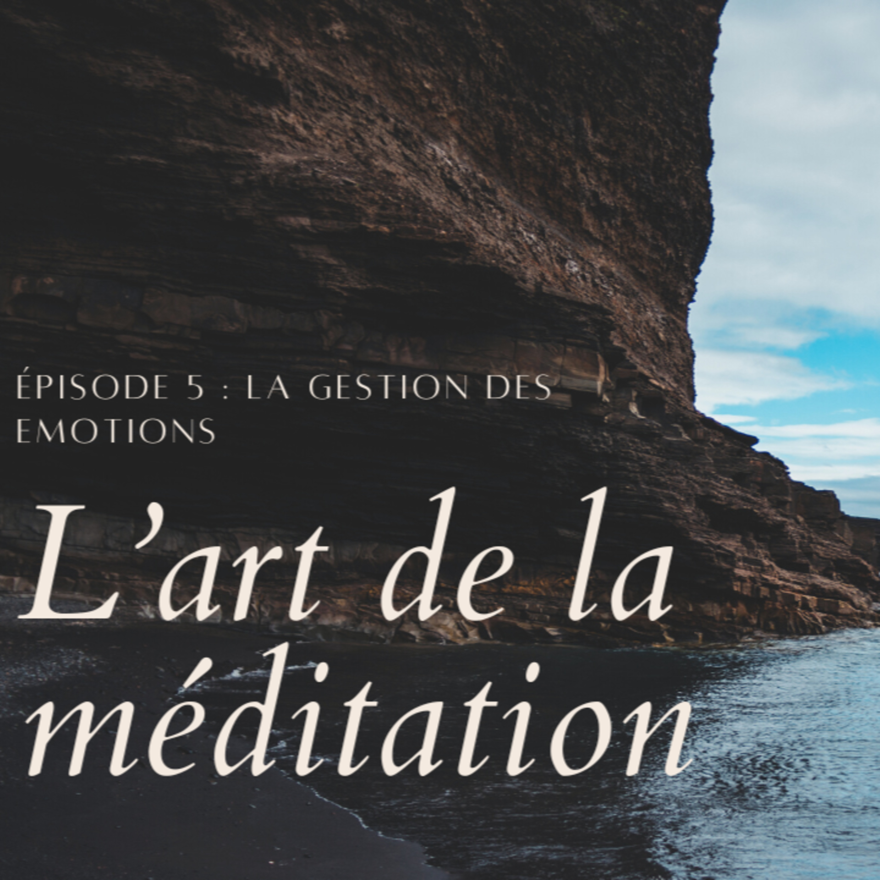 L'art de la méditation - épisode 5 - La gestion des émotions