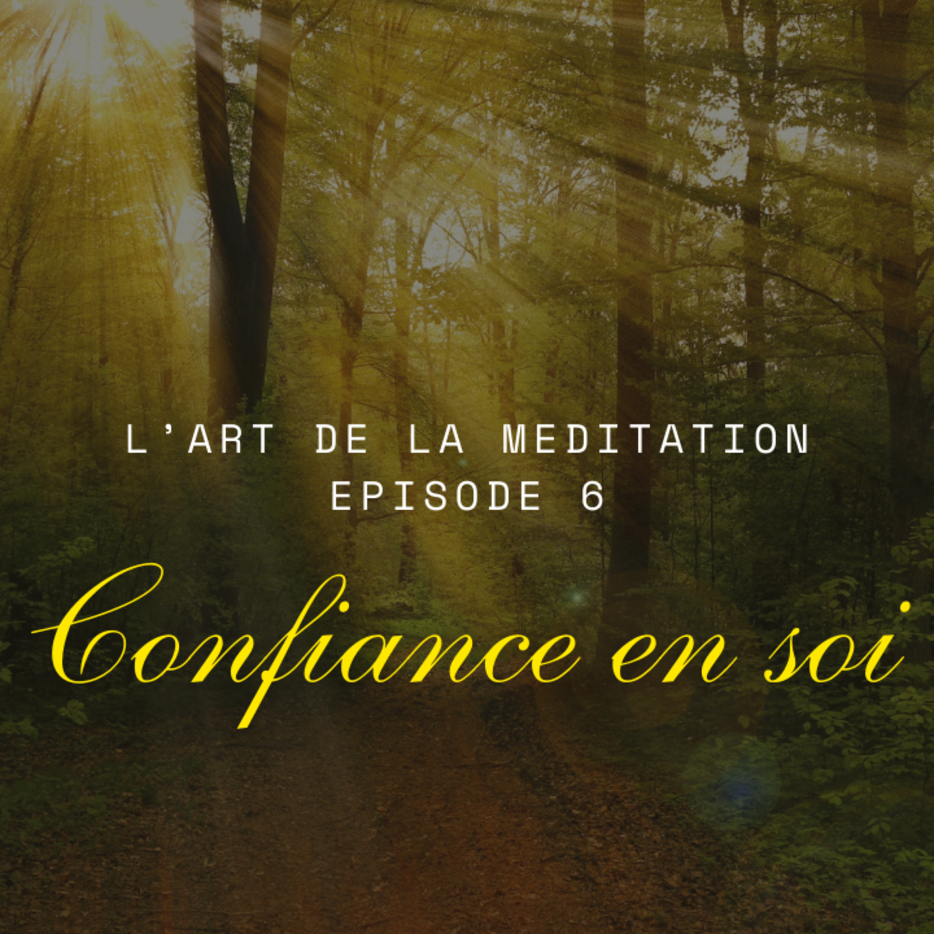 L'art de la méditation - épisode 6 - Confiance en soi