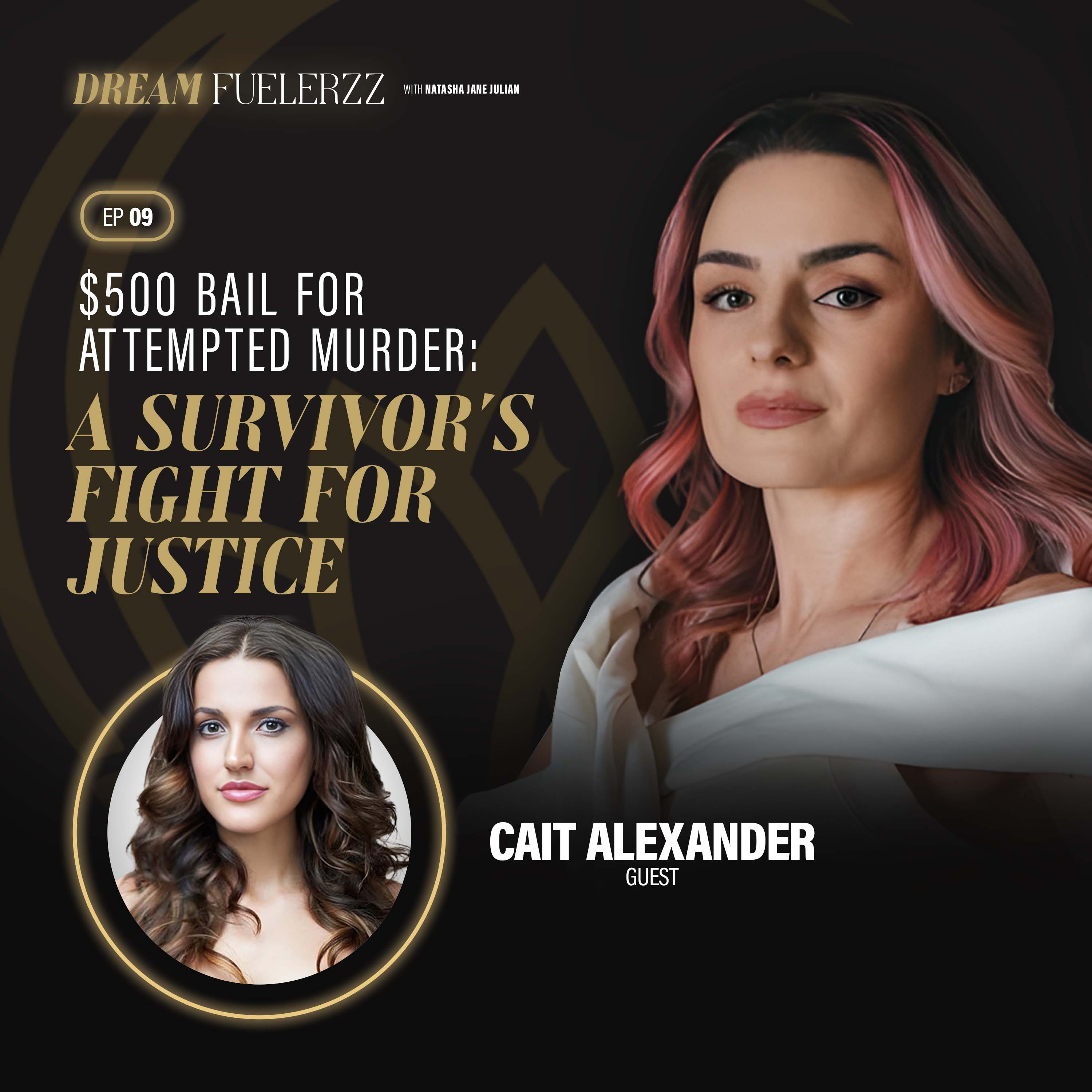  $500 Bail for Attempted Murder: A Survivor's Fight for Justice episode artwork