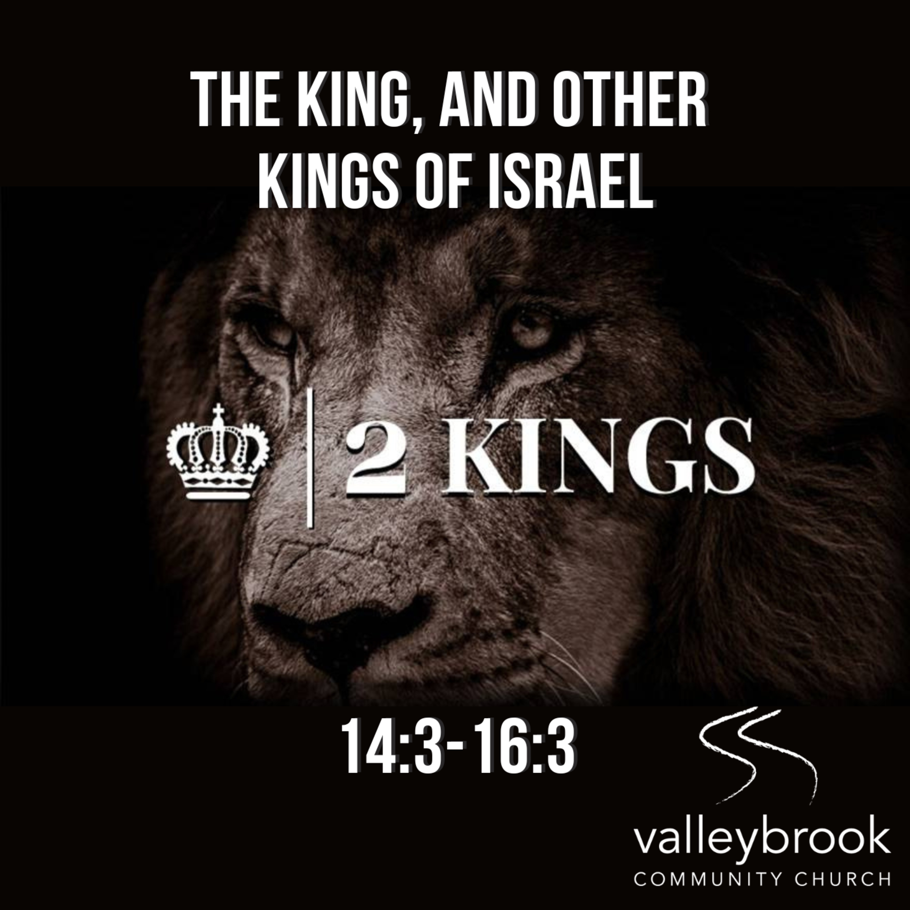 The King, and Other Kings of Israel (2 Kings) episode artwork