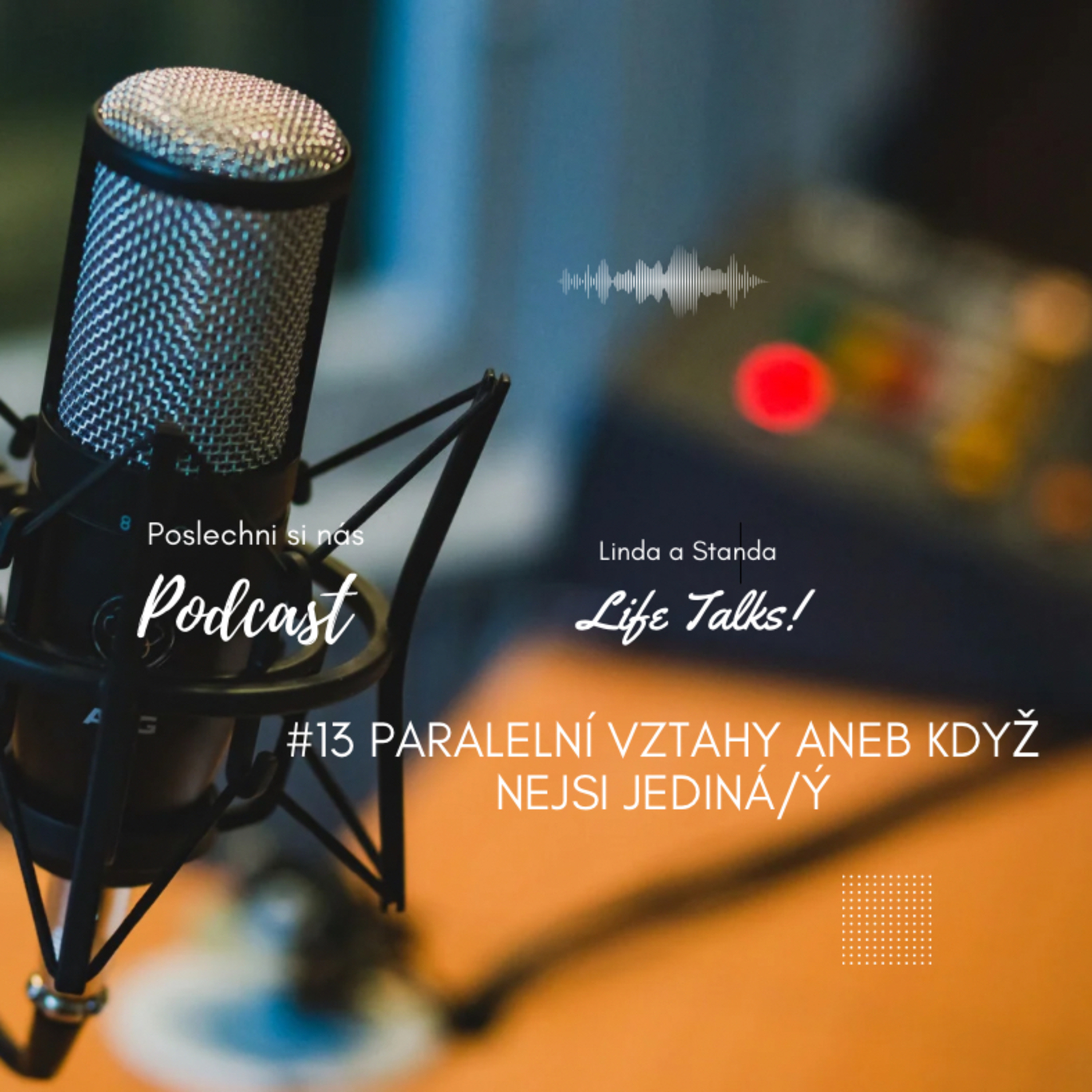 #13 Paralelní vztahy episode artwork