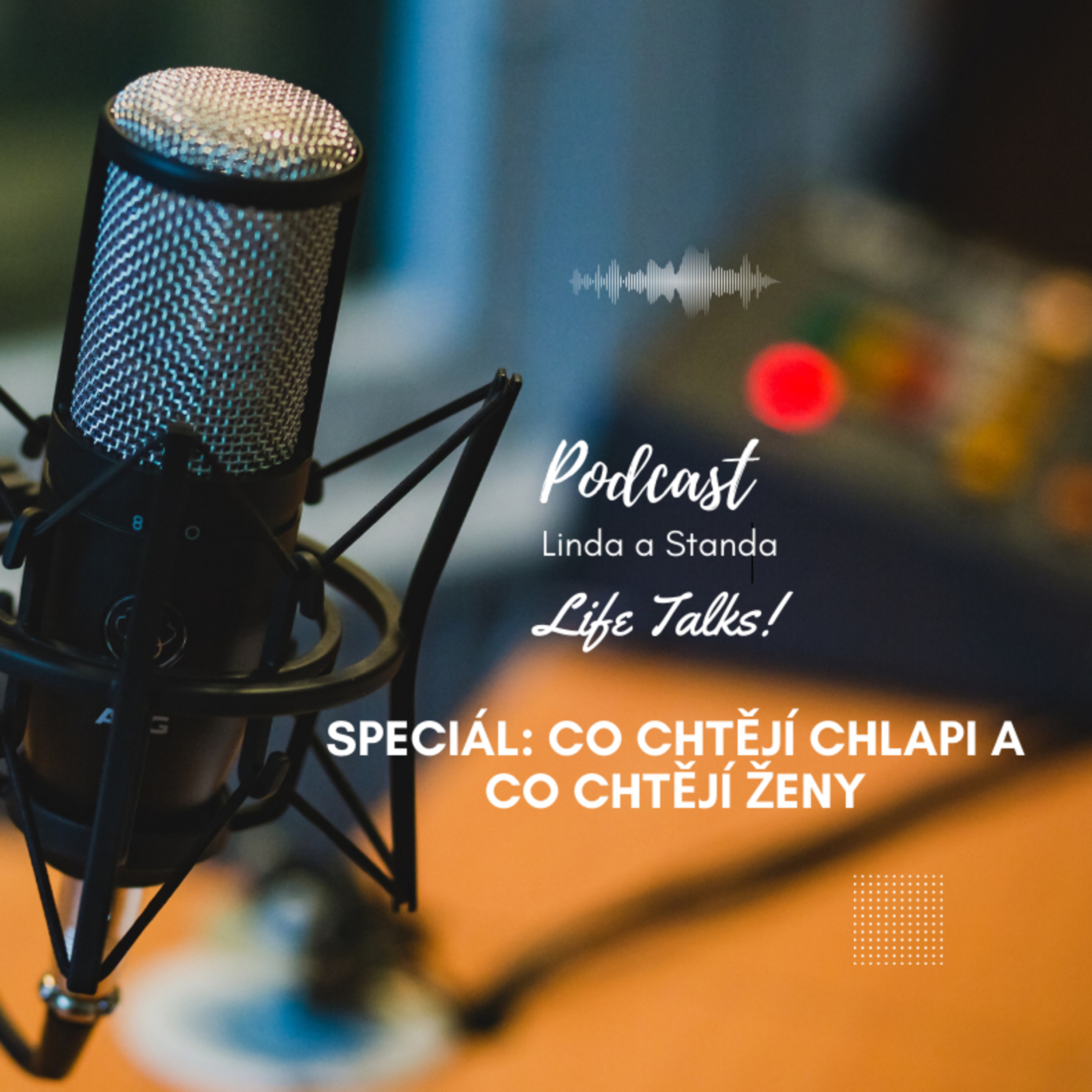 🎙 Speciální díl: Co chtějí chlapi, co chtějí ženy episode artwork