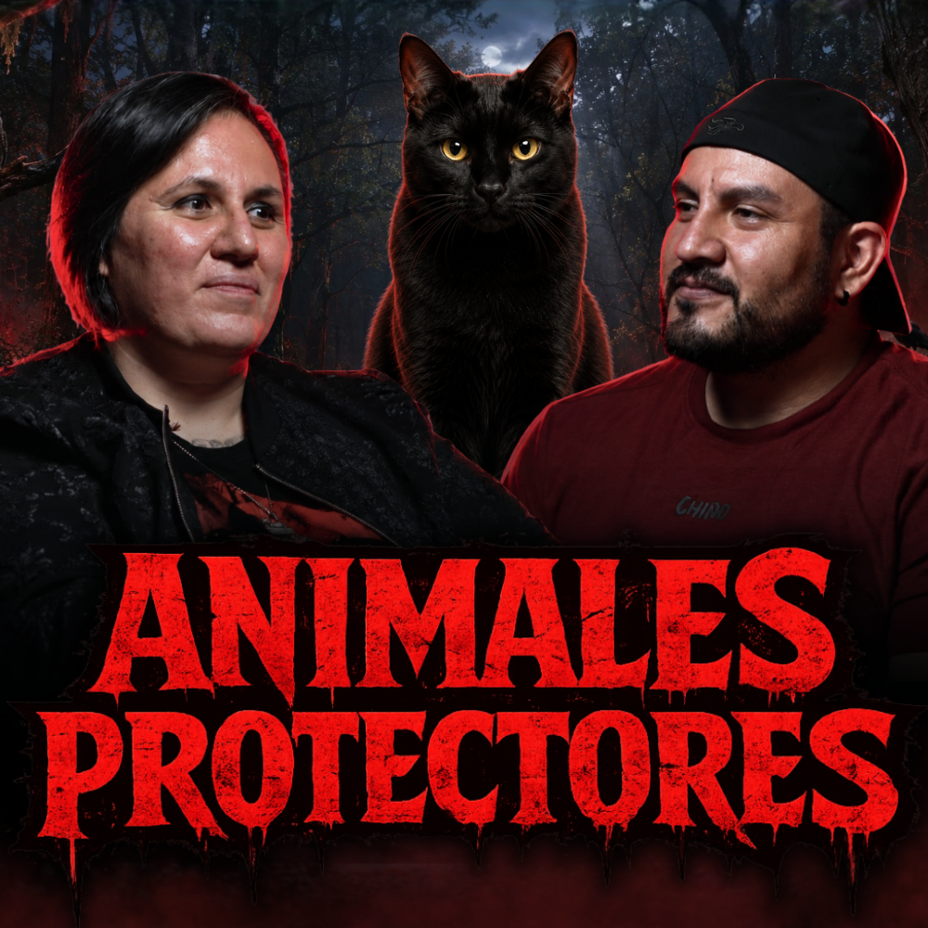 Ep 47. Los ANIMALES Que Absorben el Mal de la BRUJERÍA: ESTAS MASCOTAS TE PROTEGEN DE TODO... episode artwork