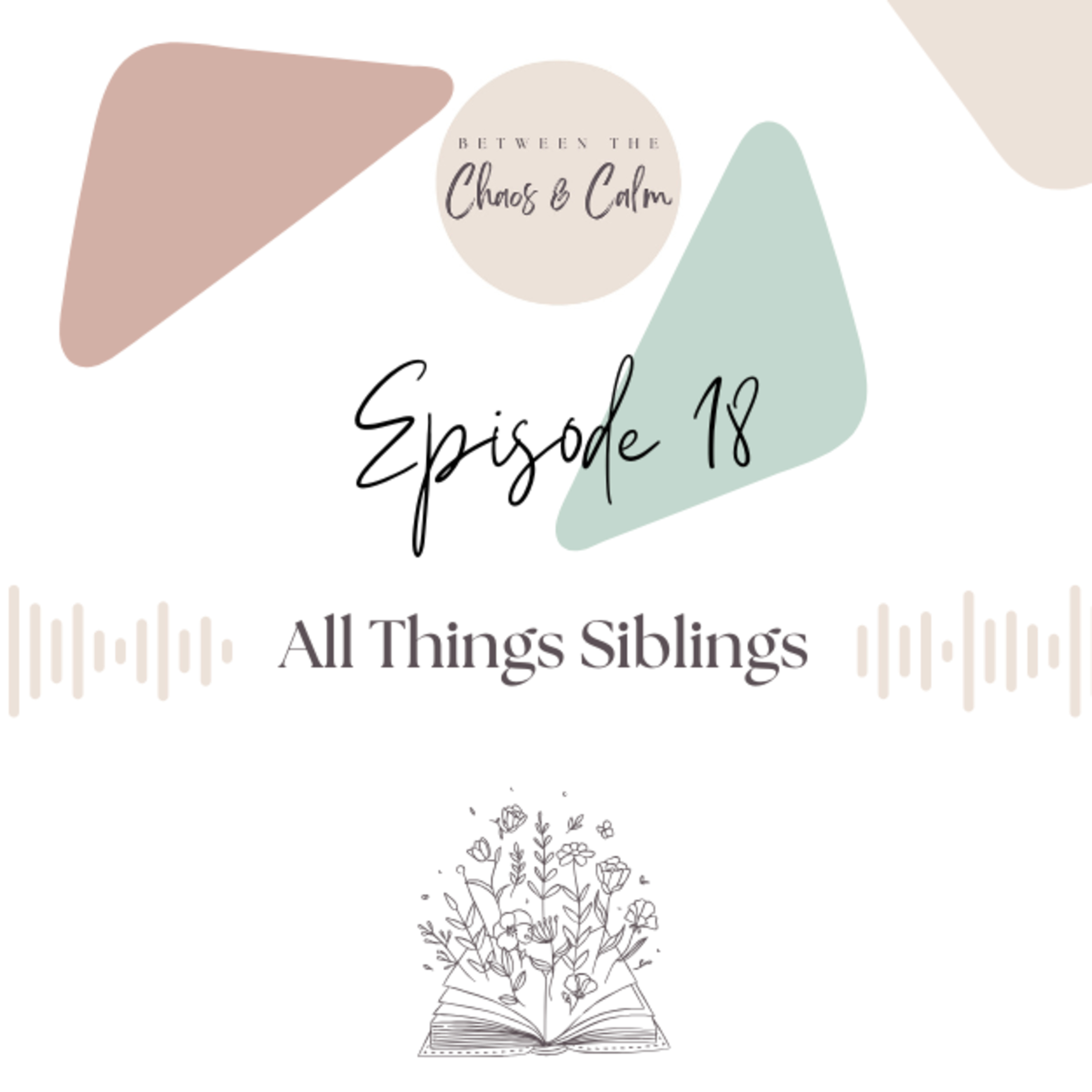 18: Sibling Squabbles and Family Feuds: Finding our Calm While Parenting Multiples episode artwork