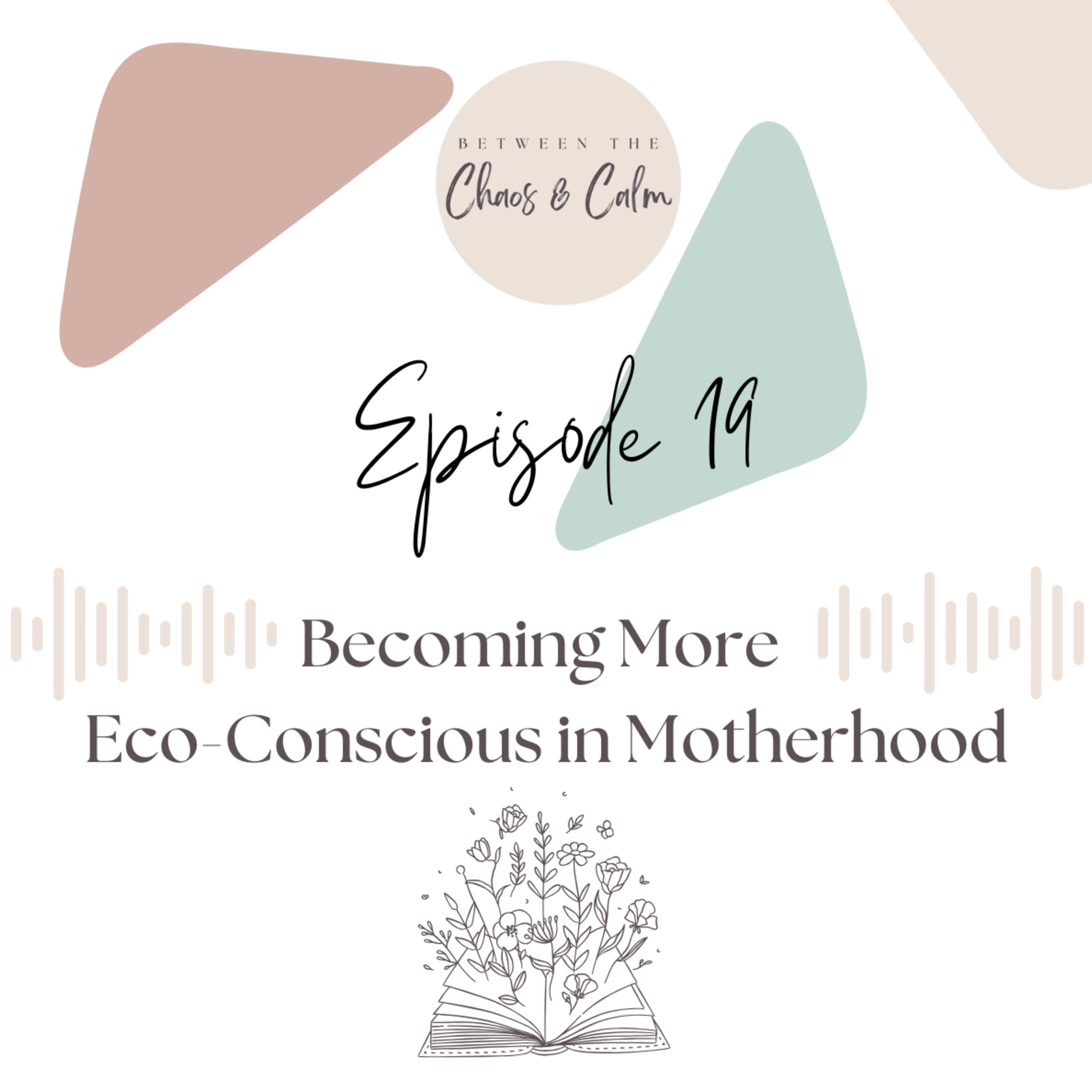 Episode 19: The Art of Thrifting and Other Ways We Can Teach Our Kids Sustainability Practices: With Educator Heather Morales episode artwork