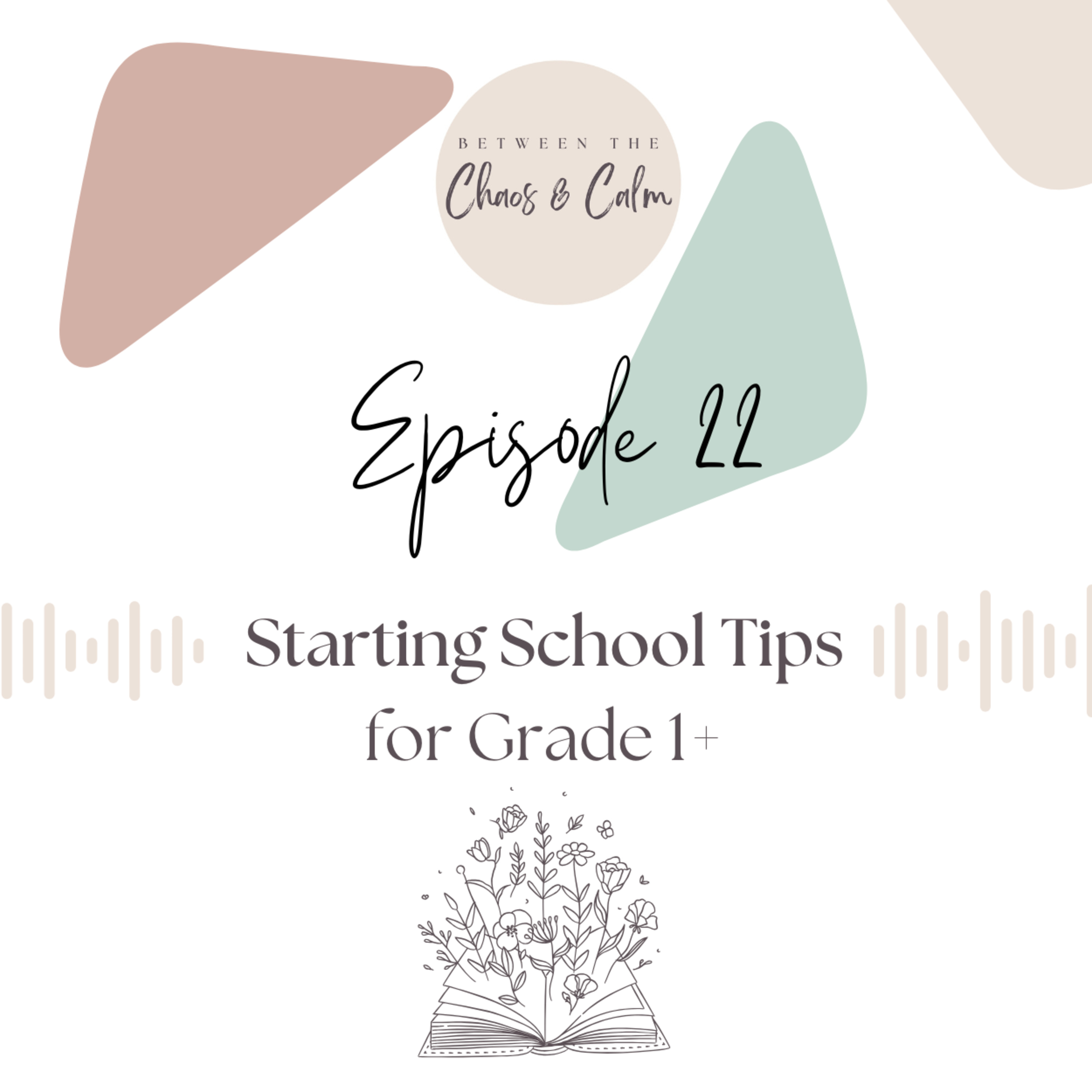 22. Back-to-School Tips for Middle Childhood That You Won’t See on Social Media episode artwork