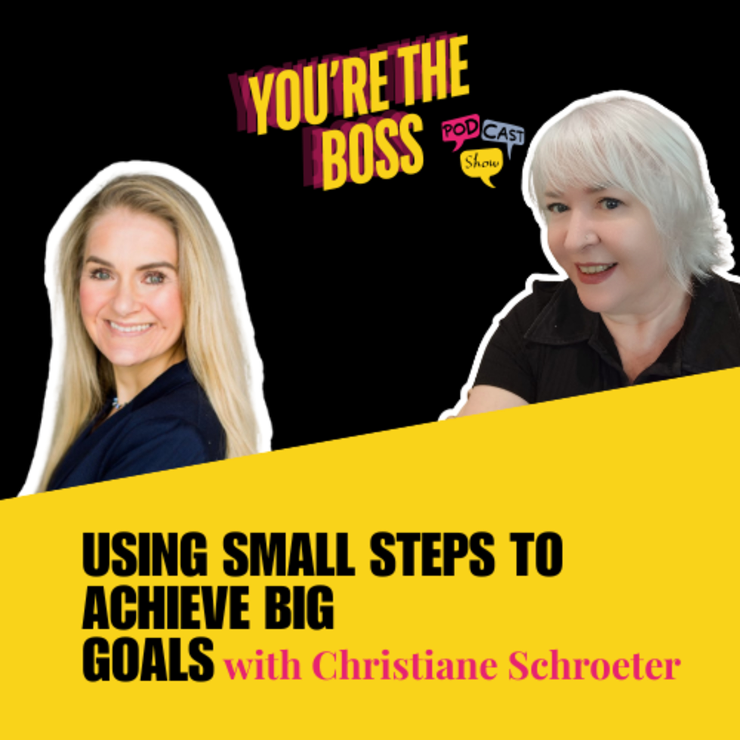 Using Small Steps to Achieve Big Goals with Christiane Schroeter episode artwork