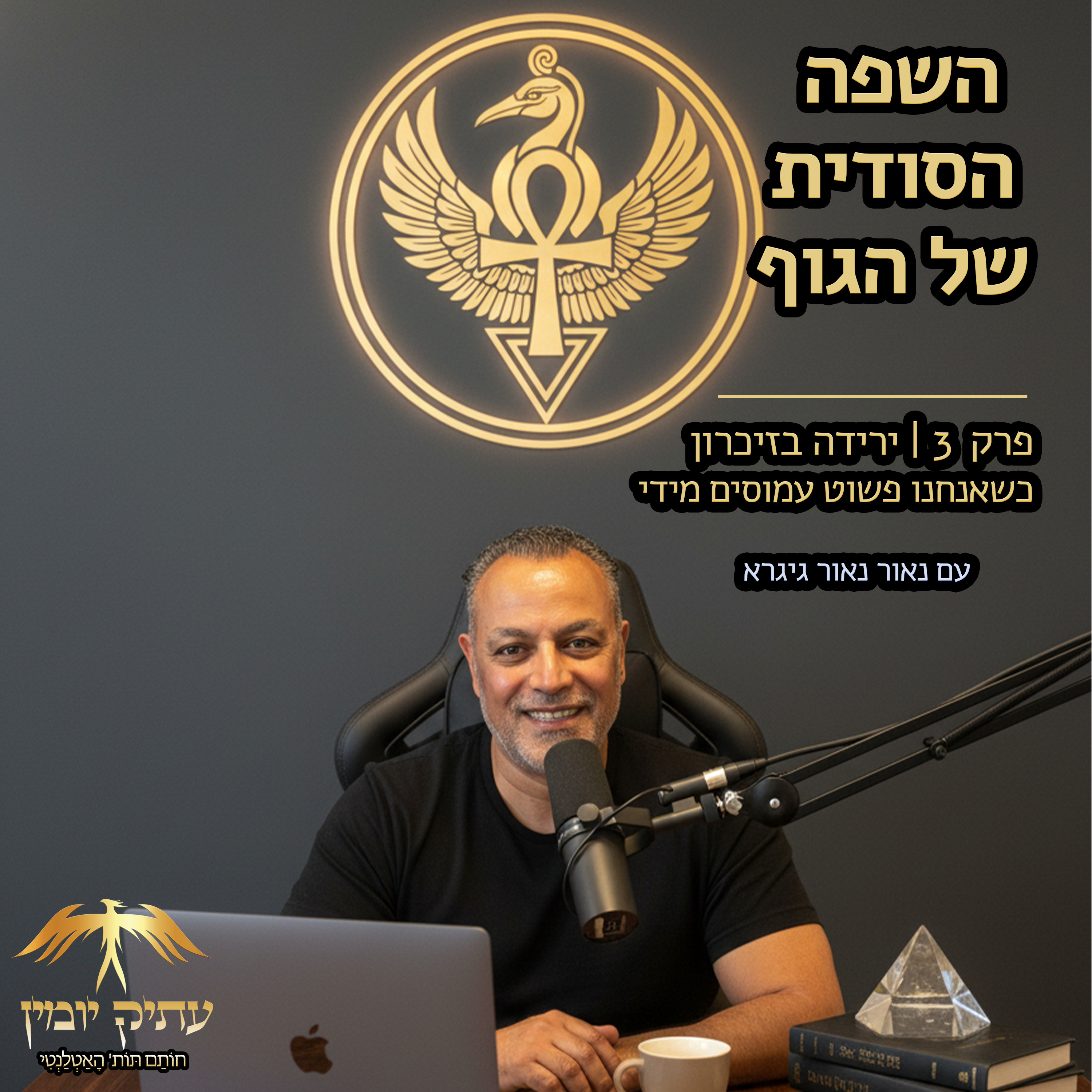 פרק 3 | ירידה בזיכרון episode artwork