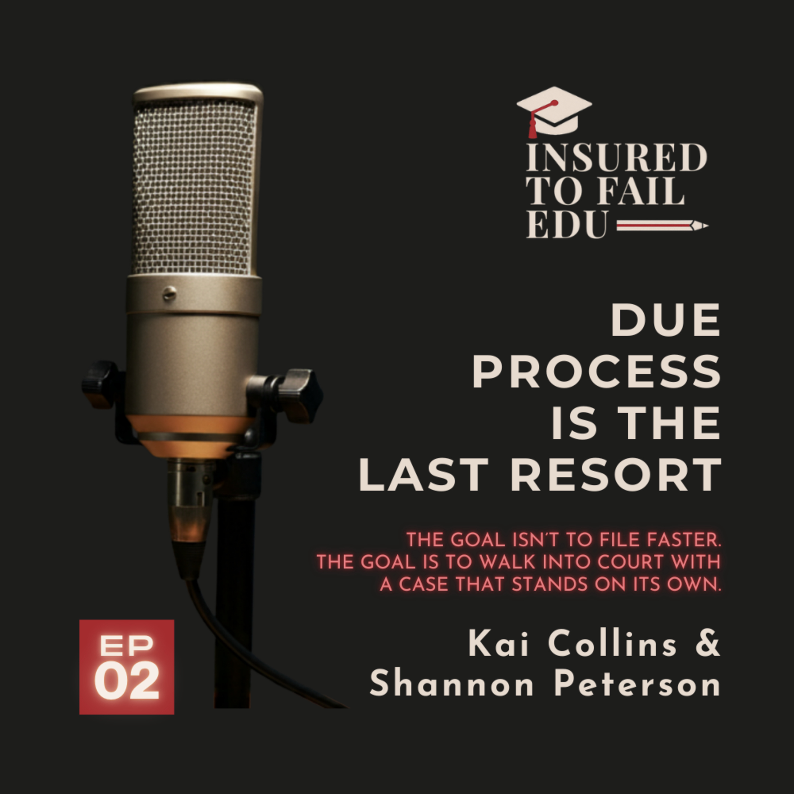 Due Process is the Last Resort episode artwork