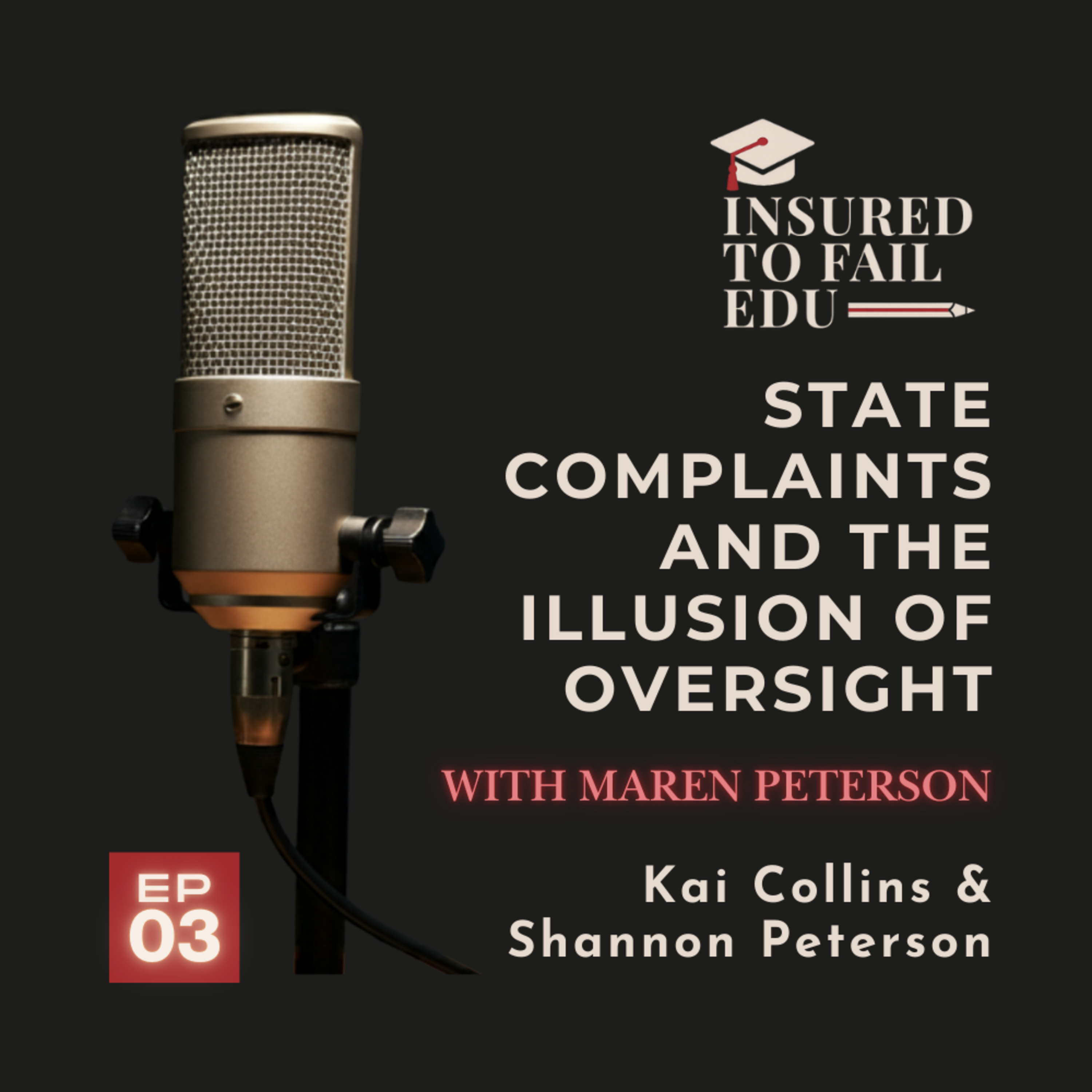 State Complaints and the Illusion of Oversight episode artwork