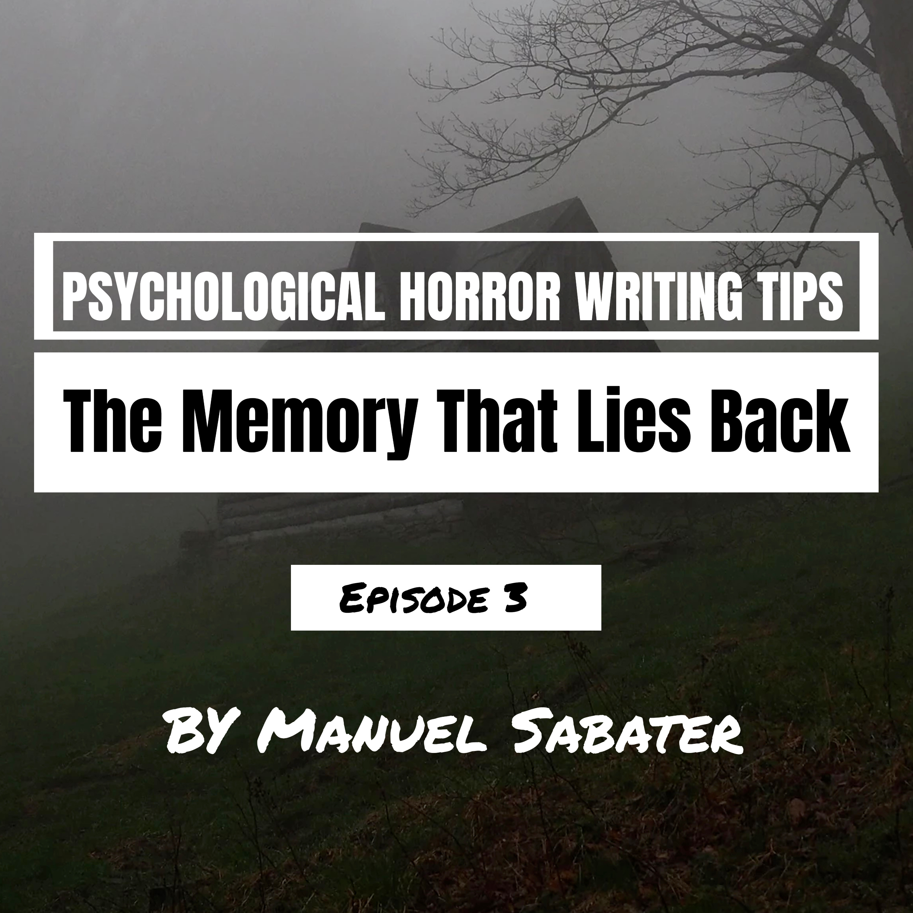 Unreliable Memory: The Memory That Lies Back episode artwork