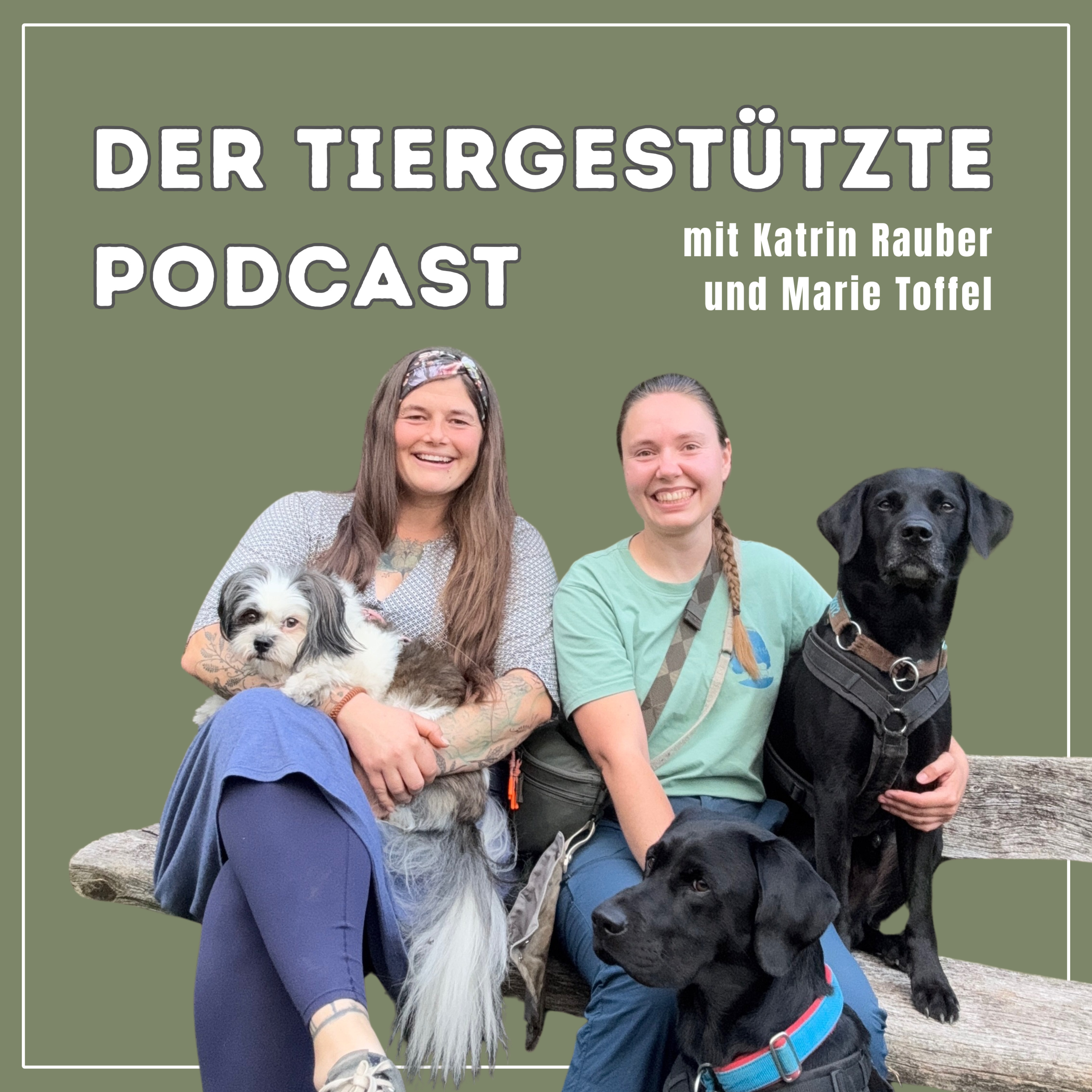 IAHAIO & tiergestützte Intervention weltweit: Ethik, Netzwerke und Zukunft der TGI episode artwork