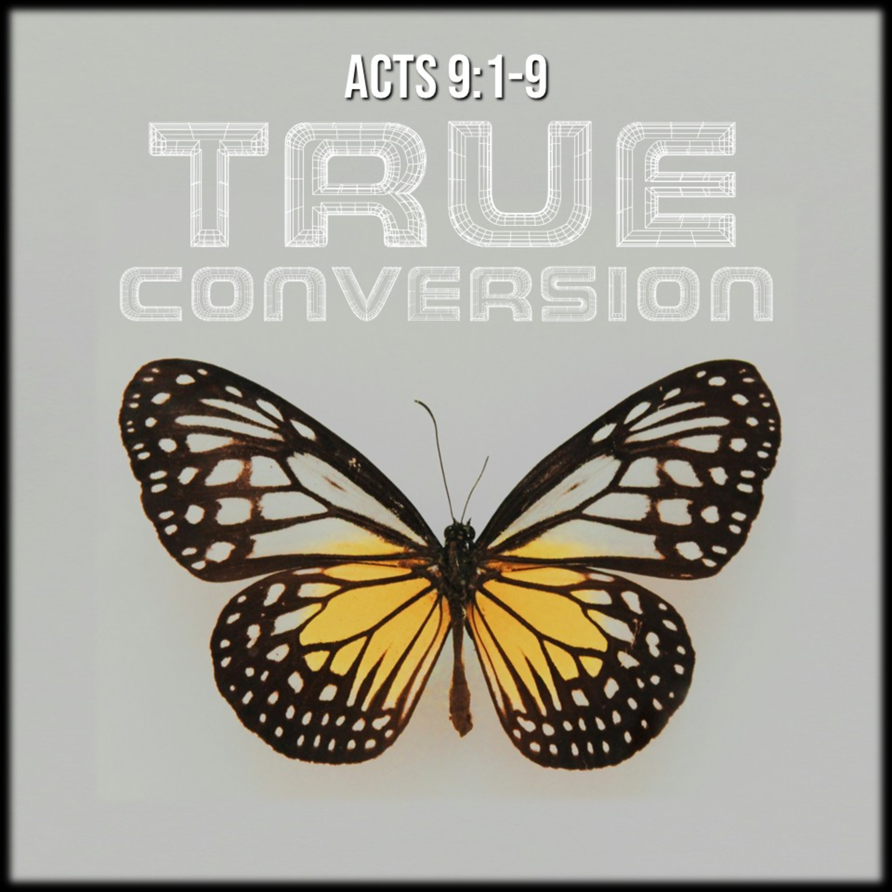 Acts 9:1-9 | True Conversion | Believers Church - Duluth Church Sermons - Verse by Verse Bible Studies  episode artwork