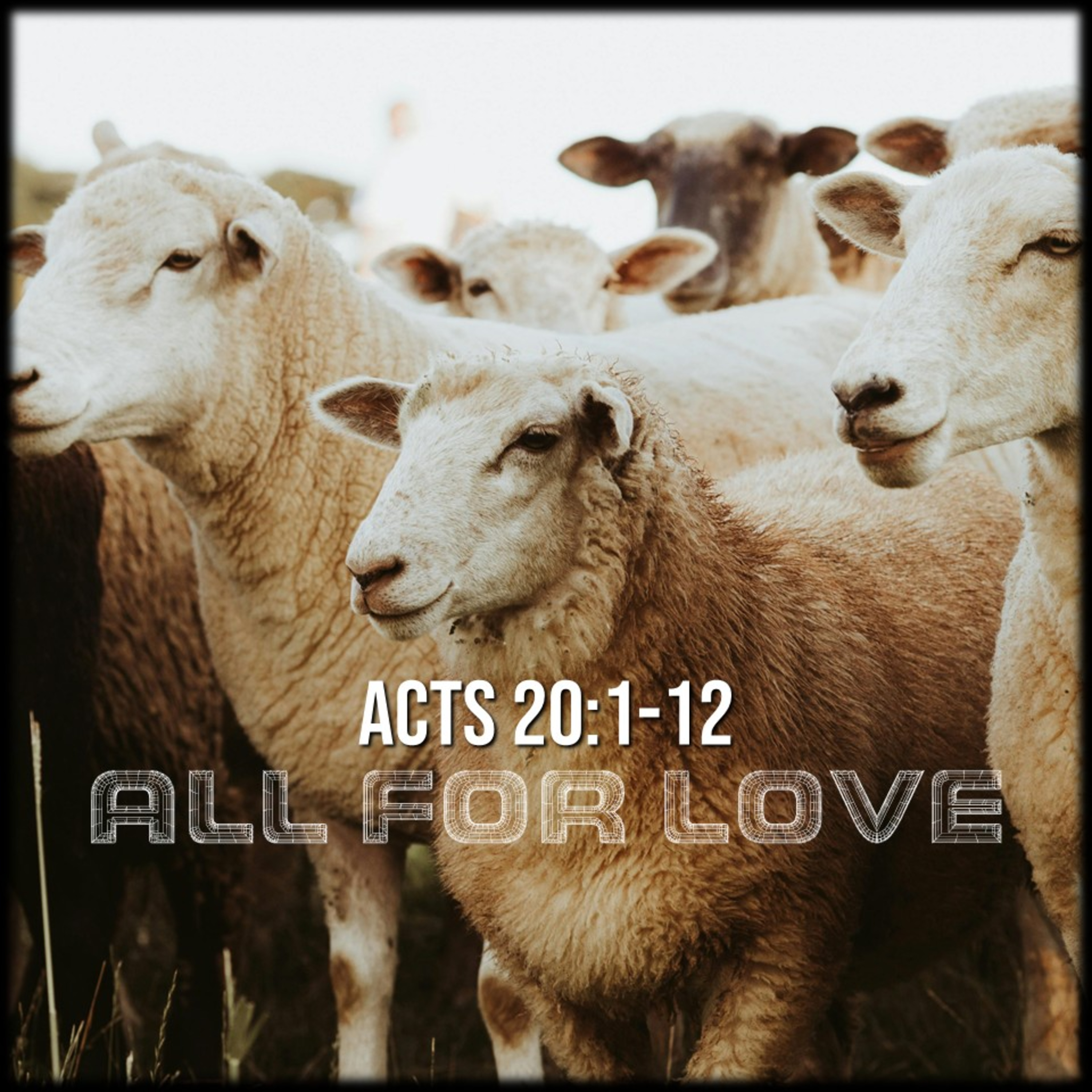 Acts 20:1-12 | All for Love | Believers Church - Duluth Church Sermons - Verse by Verse Bible Studies episode artwork