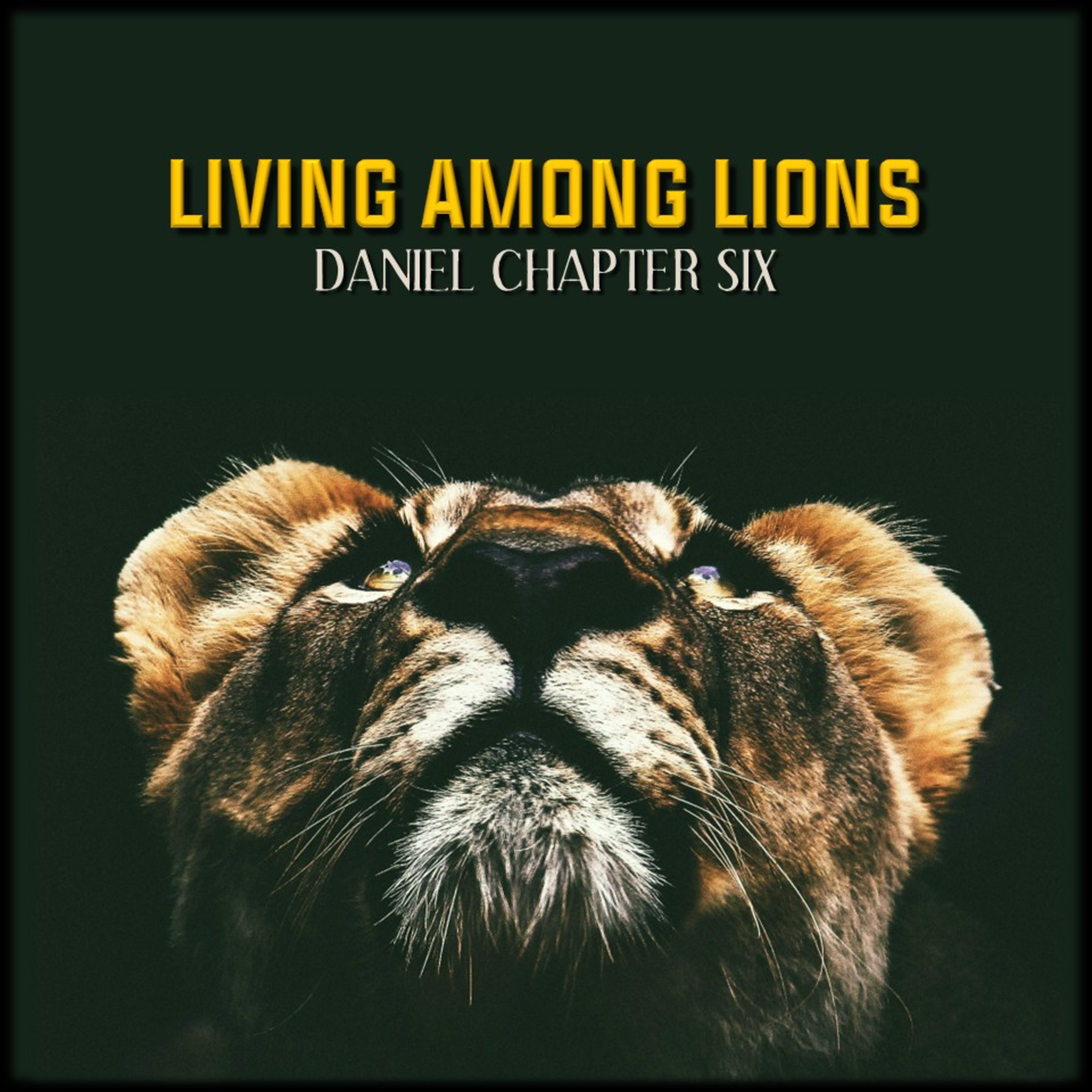 Daniel 6:1-28 | Living Among Lions | Believers Church - Duluth Church Sermons - Verse by Verse Bible Studies episode artwork