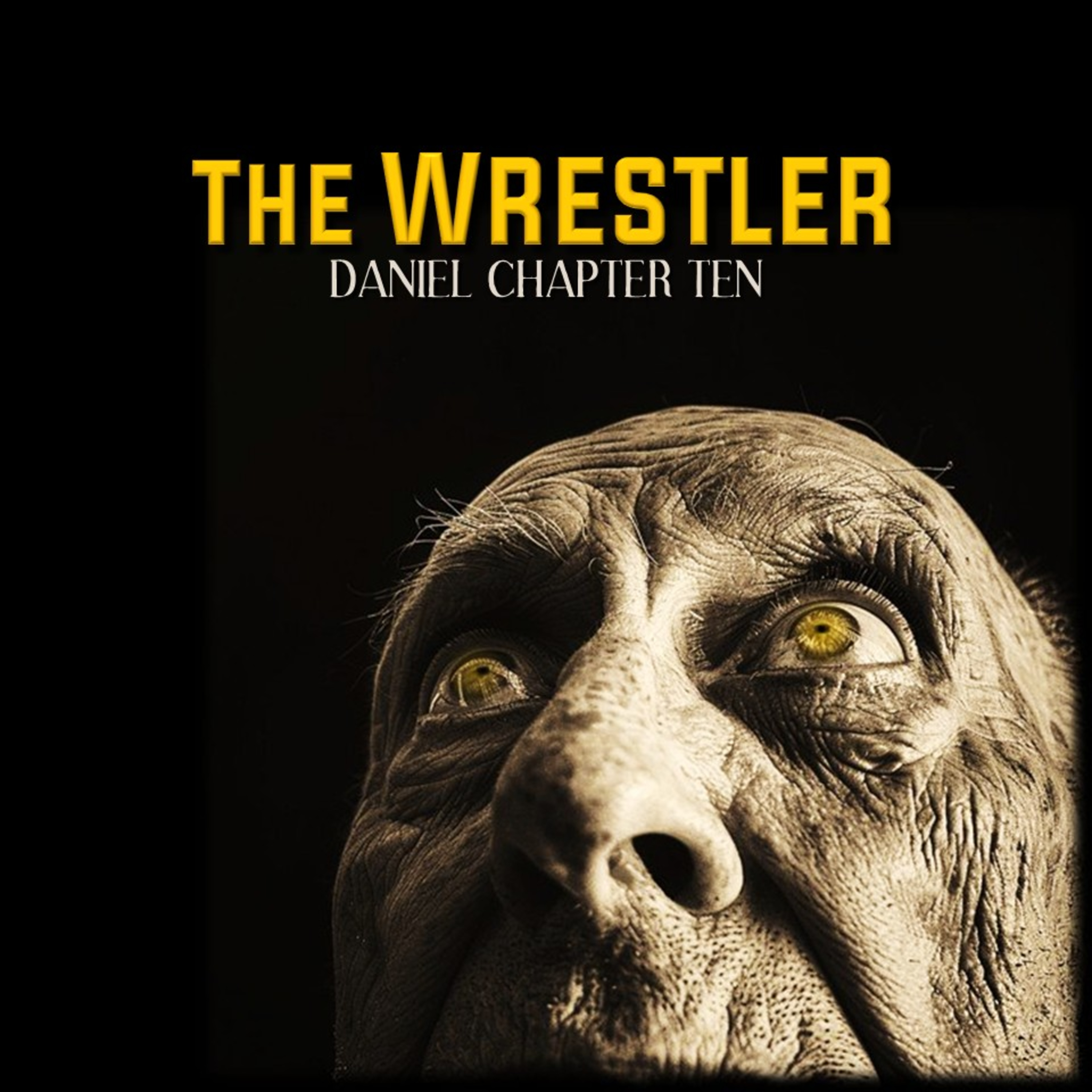 Daniel 10:1-21 | The Wrestler | Believers Church - Duluth Church Sermons - Verse by Verse Bible Studies episode artwork