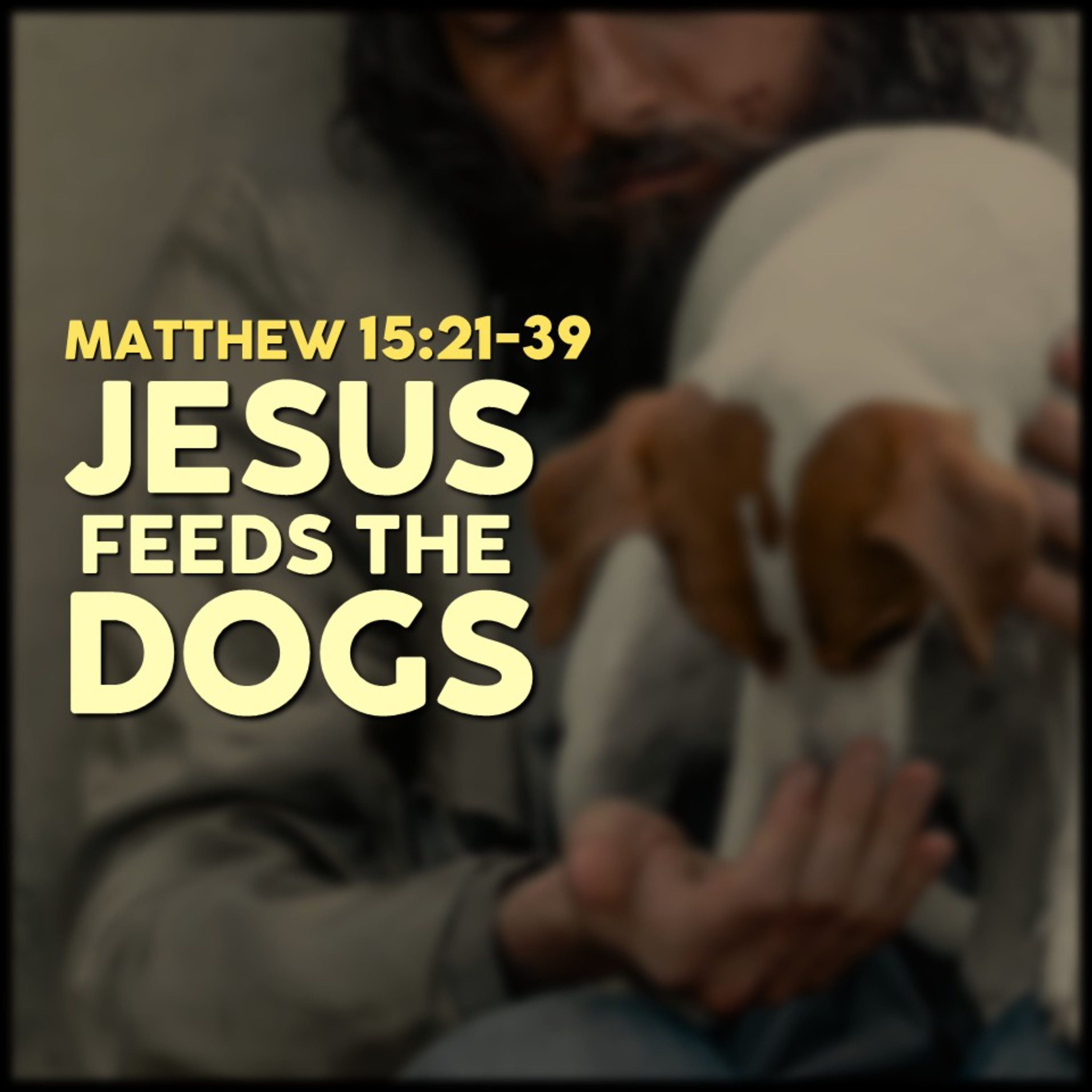 Matthew 15:21-39 | Jesus Feeds the Dogs | Believers Church - Duluth Church Sermons - Verse by Verse Bible Studies episode artwork