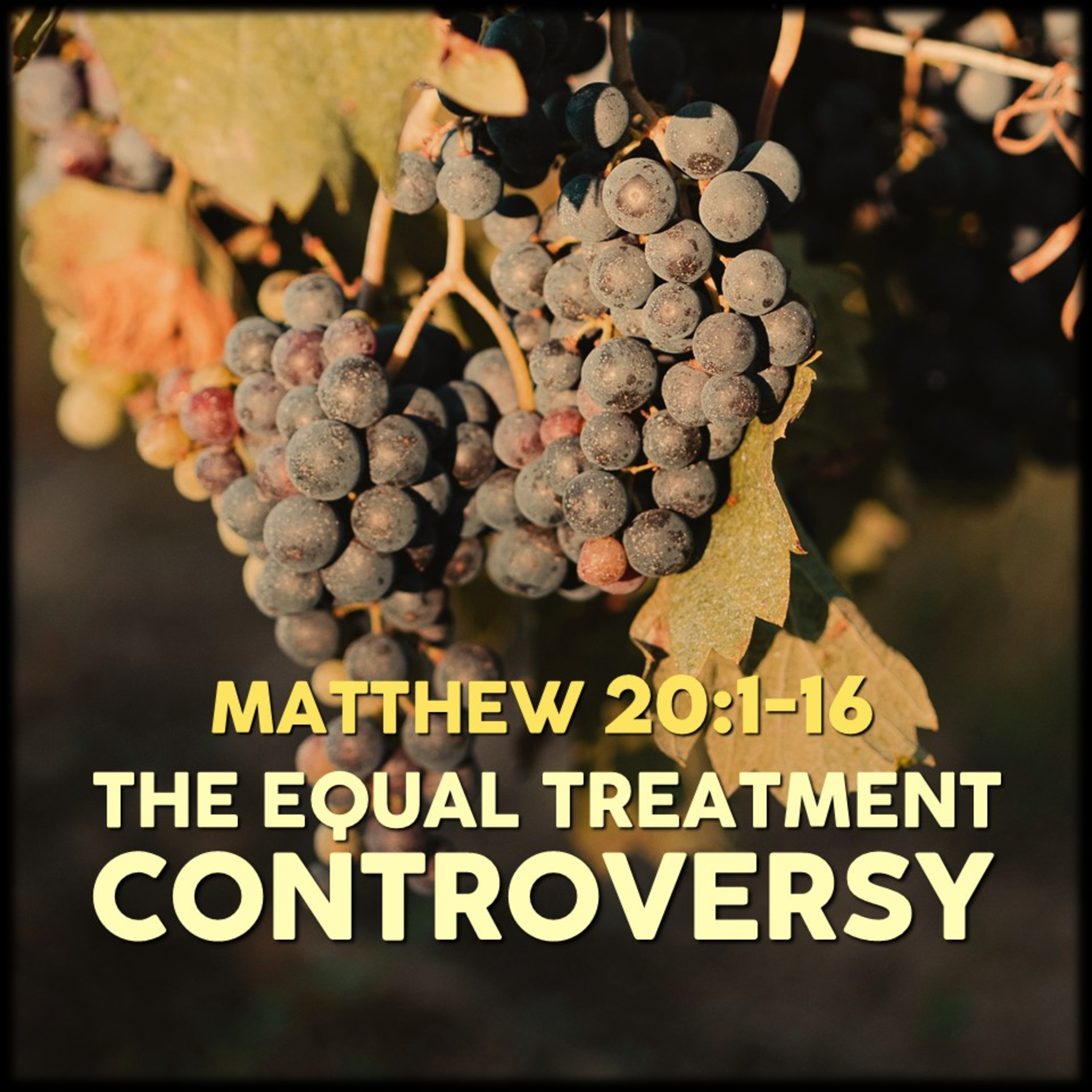 Matthew 20:1-16 | The Equal Treatment Controversy | Believers Church - Duluth Church Sermons - Verse by Verse Bible Studies episode artwork