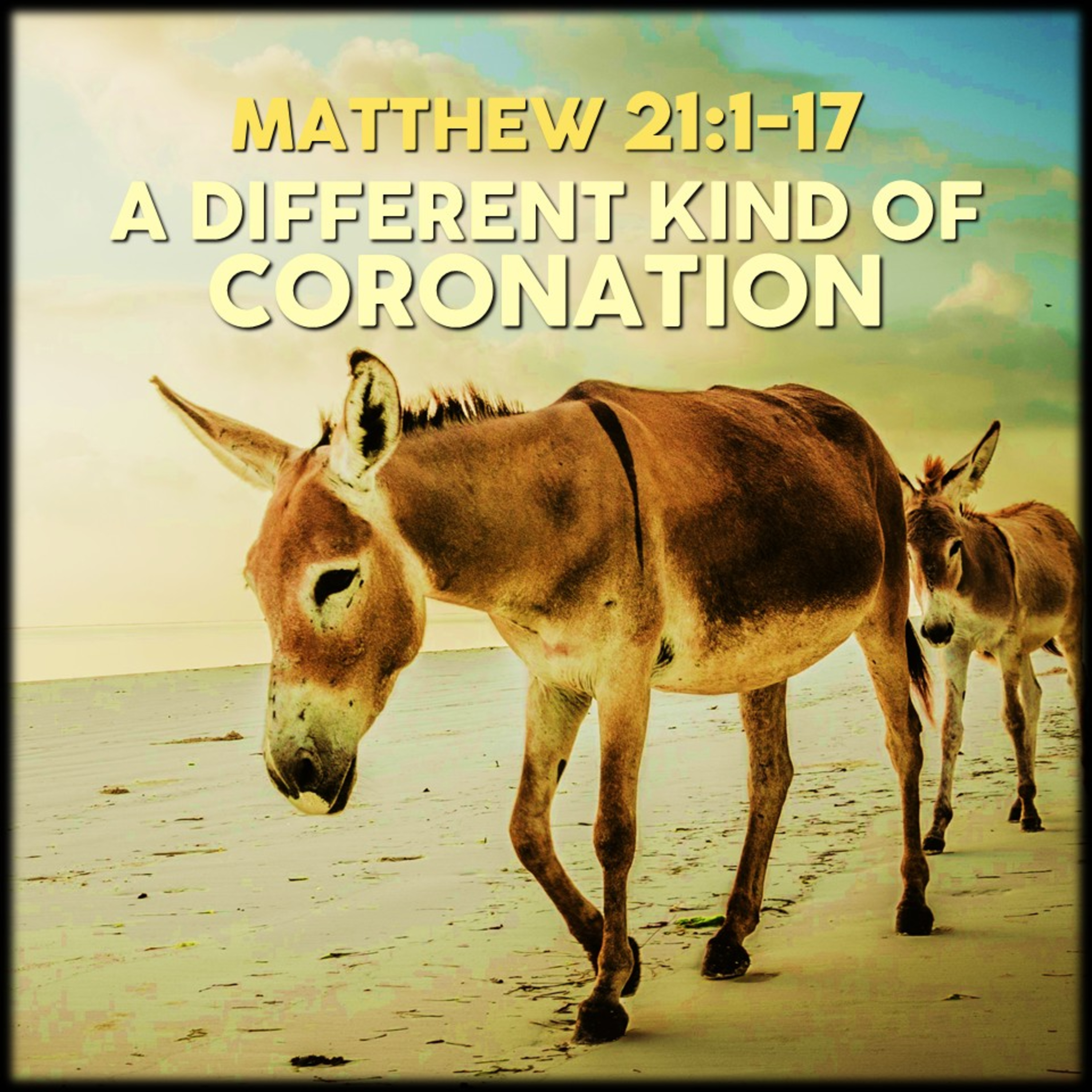Matthew 21:1-17 | A Different Kind of Coronation | Believers Church - Duluth Church Sermons - Verse by Verse Bible Studies episode artwork