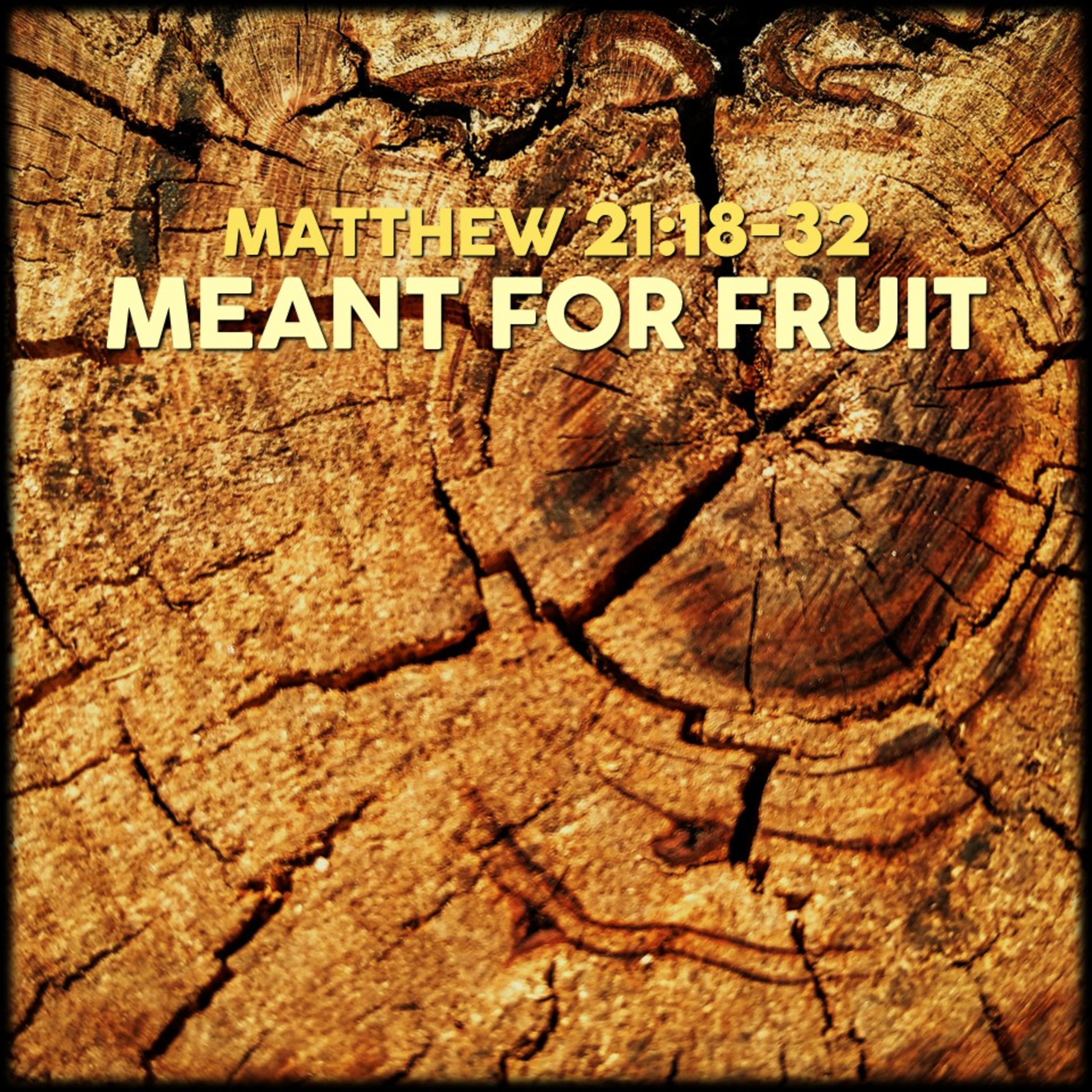 Matthew 21:18-32 | Meant for Fruit | Believers Church - Duluth Church Sermons - Verse by Verse Bible Studies episode artwork